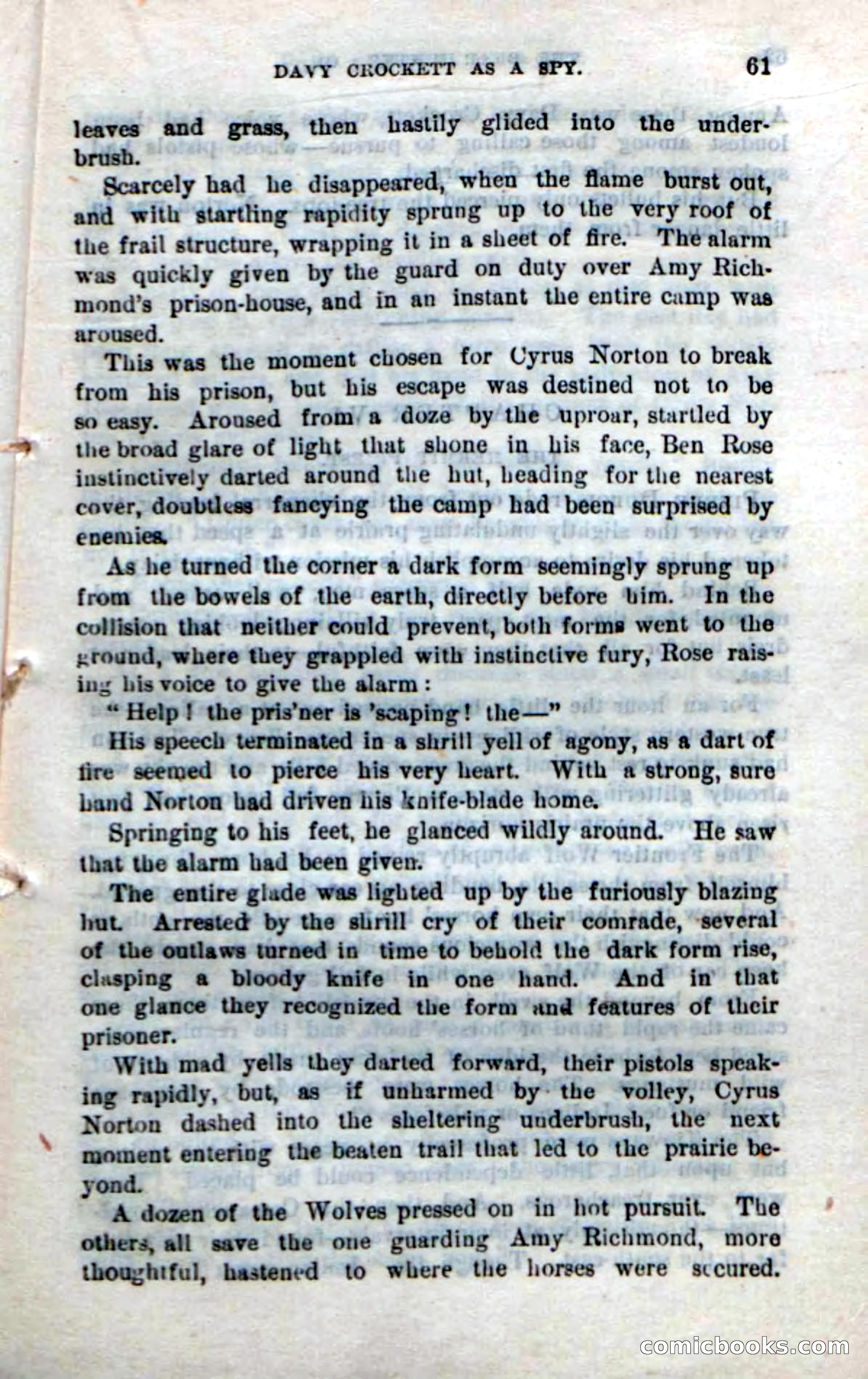 Beadle's New Dime Novels: The Bear-Hunter — page 57 of 100