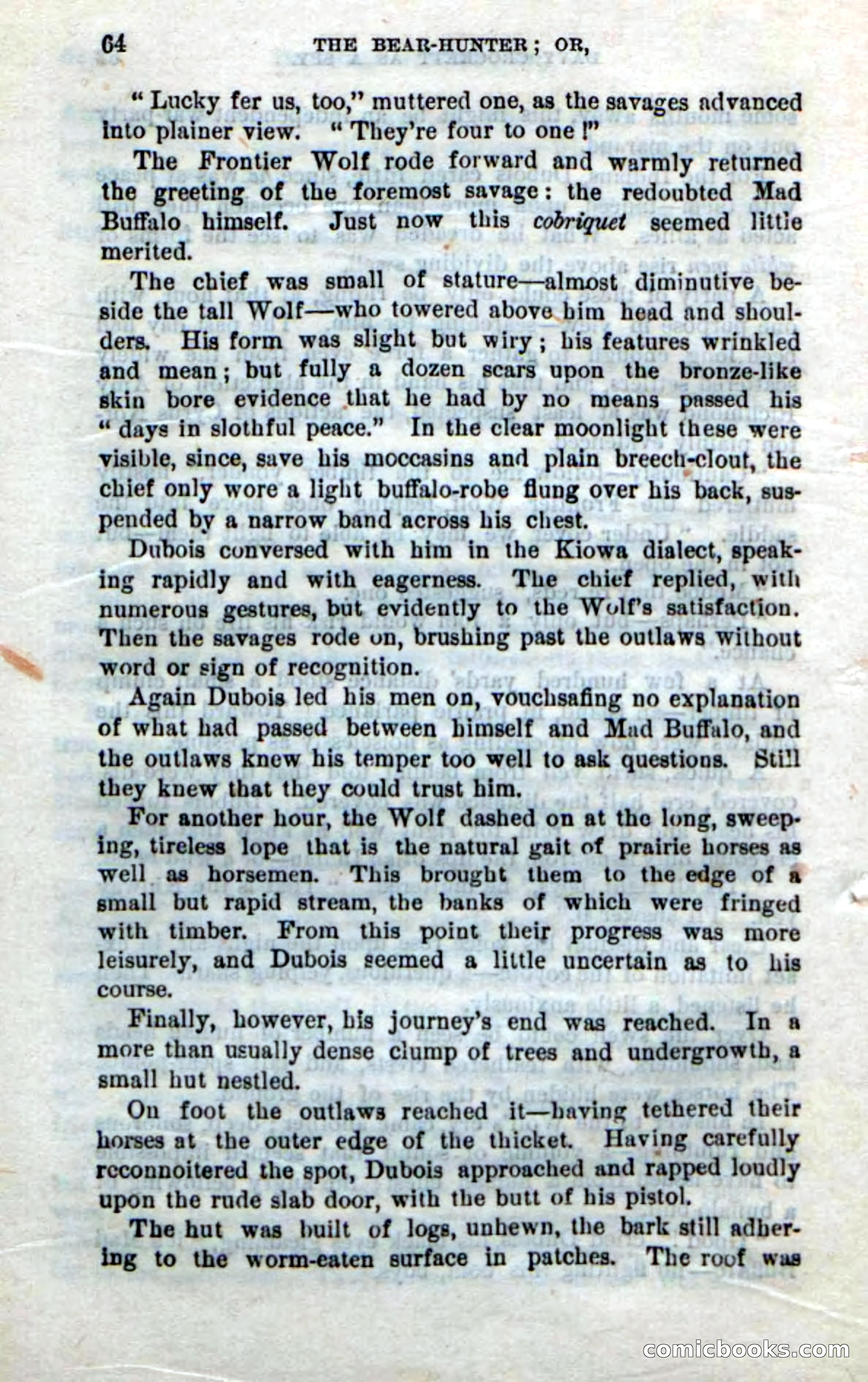 Beadle's New Dime Novels: The Bear-Hunter — page 60 of 100