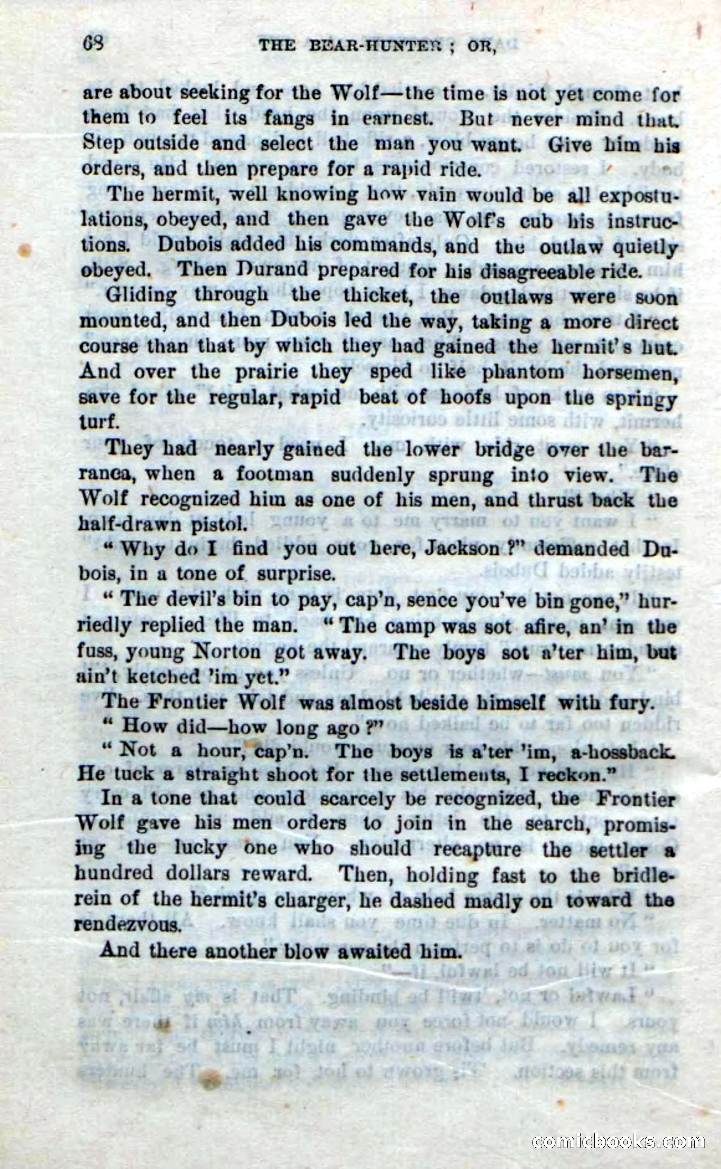 Beadle's New Dime Novels: The Bear-Hunter — page 64 of 100