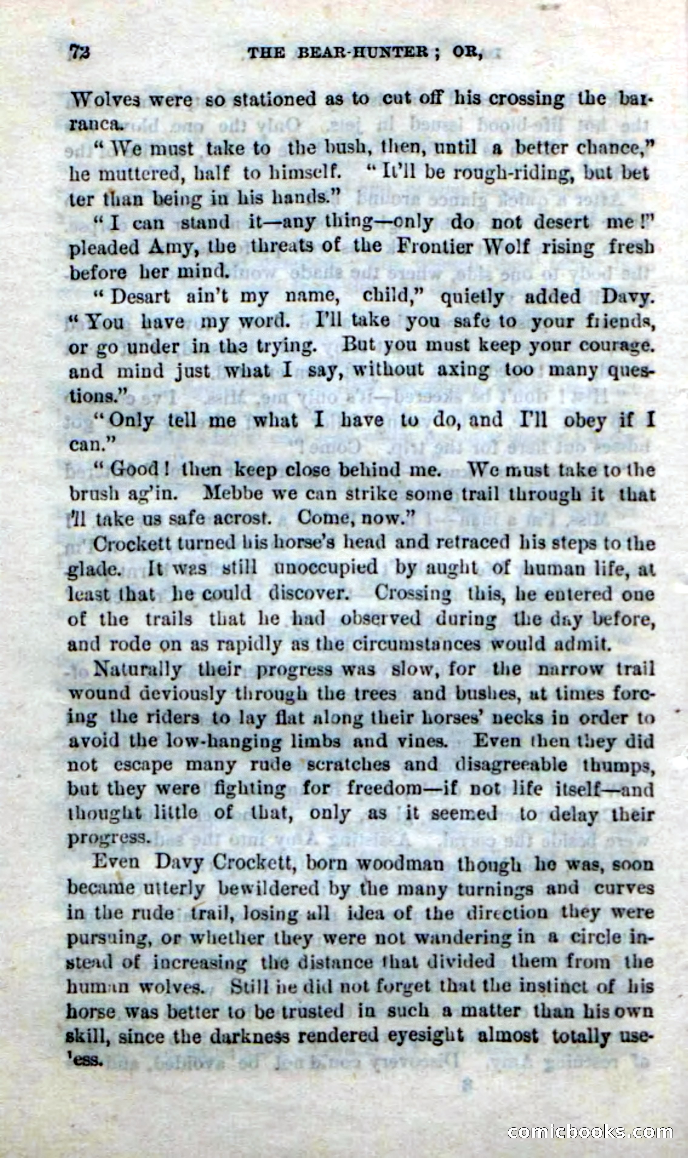 Beadle's New Dime Novels: The Bear-Hunter — page 68 of 100