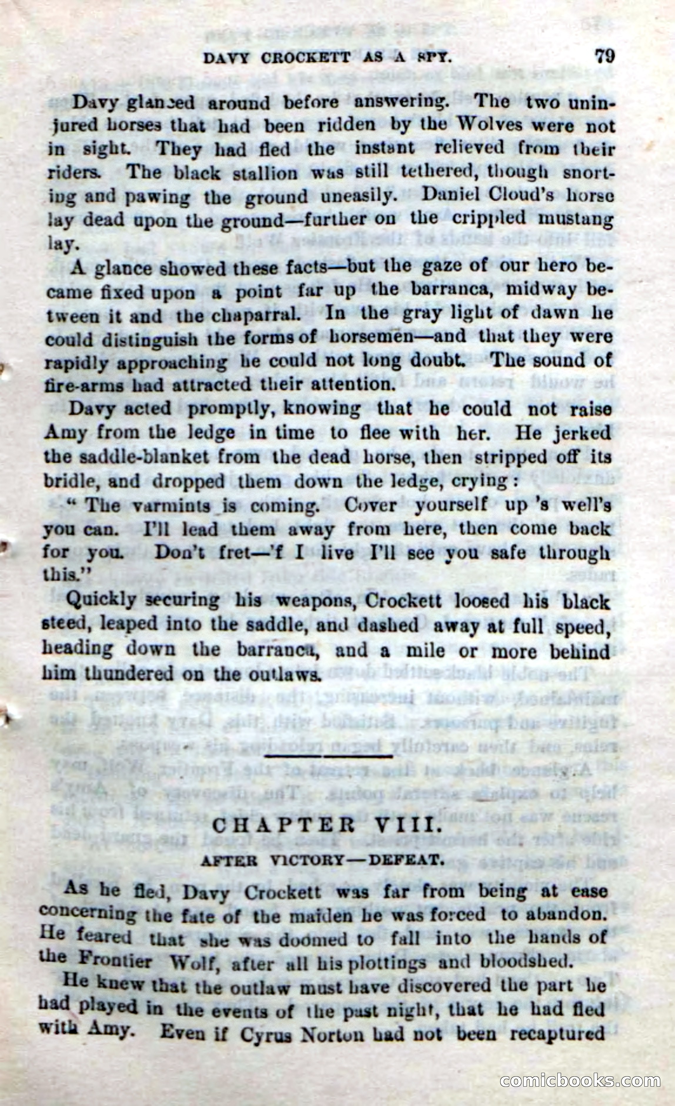 Beadle's New Dime Novels: The Bear-Hunter — page 75 of 100