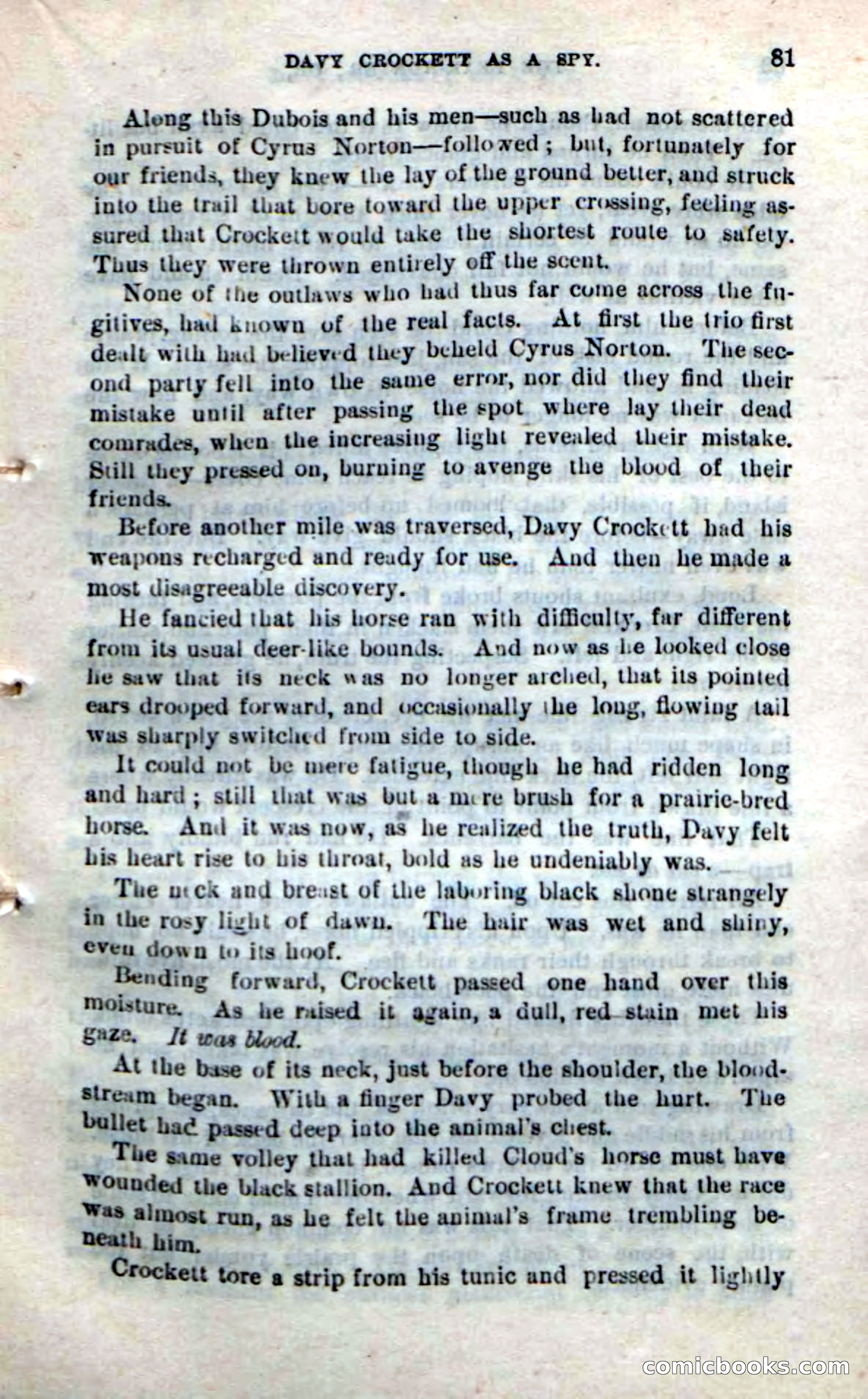 Beadle's New Dime Novels: The Bear-Hunter — page 77 of 100