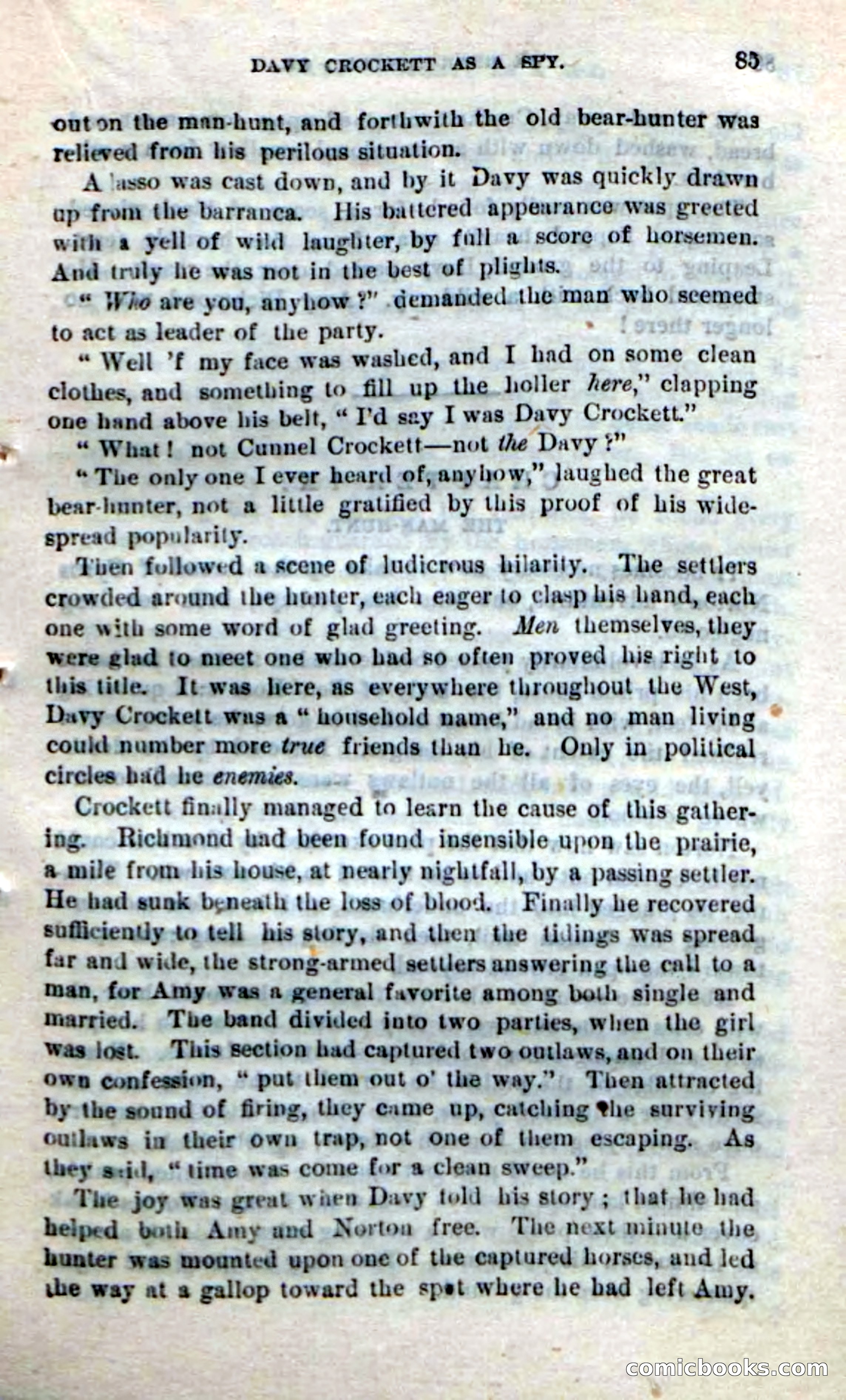 Beadle's New Dime Novels: The Bear-Hunter — page 81 of 100
