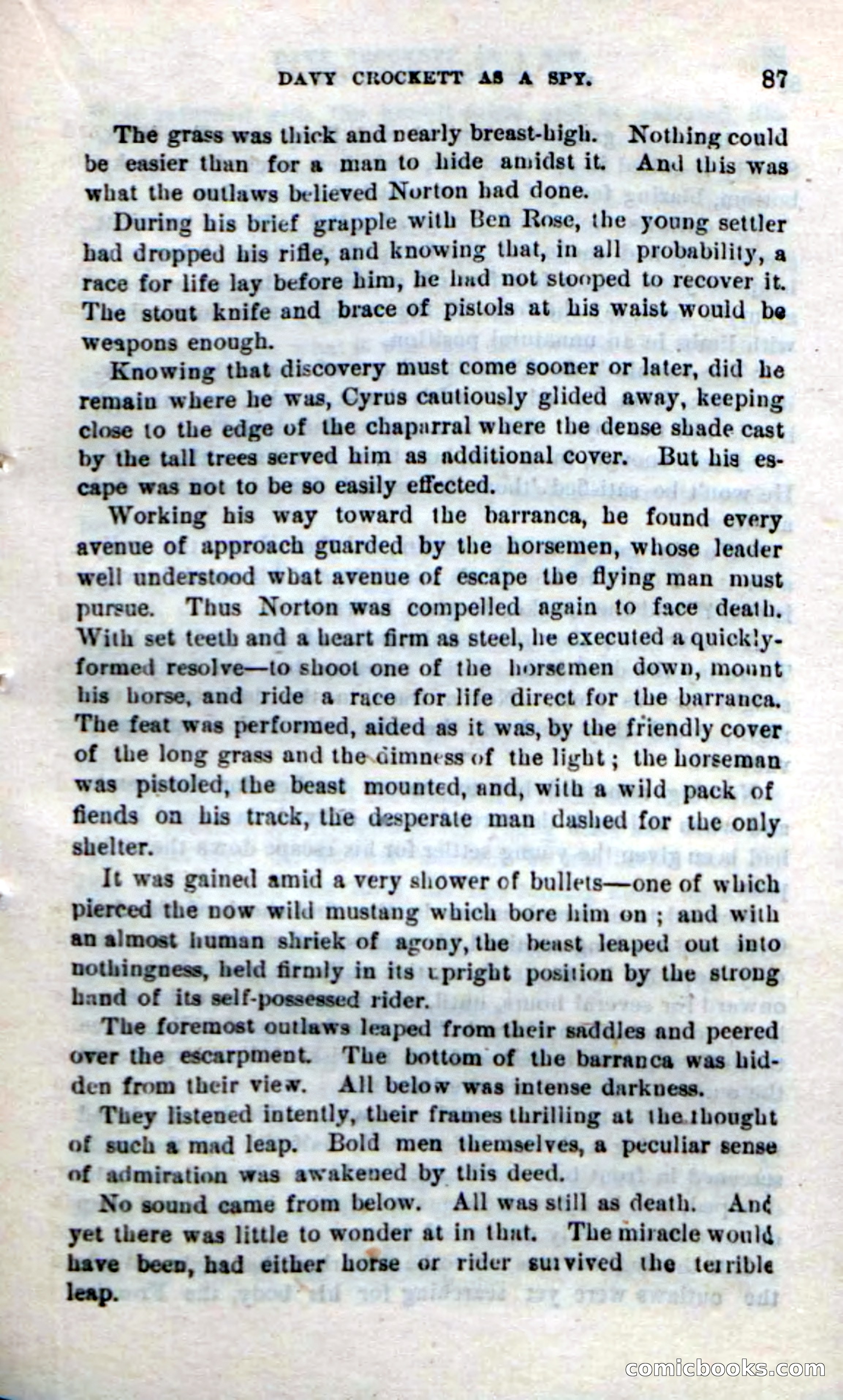 Beadle's New Dime Novels: The Bear-Hunter — page 83 of 100