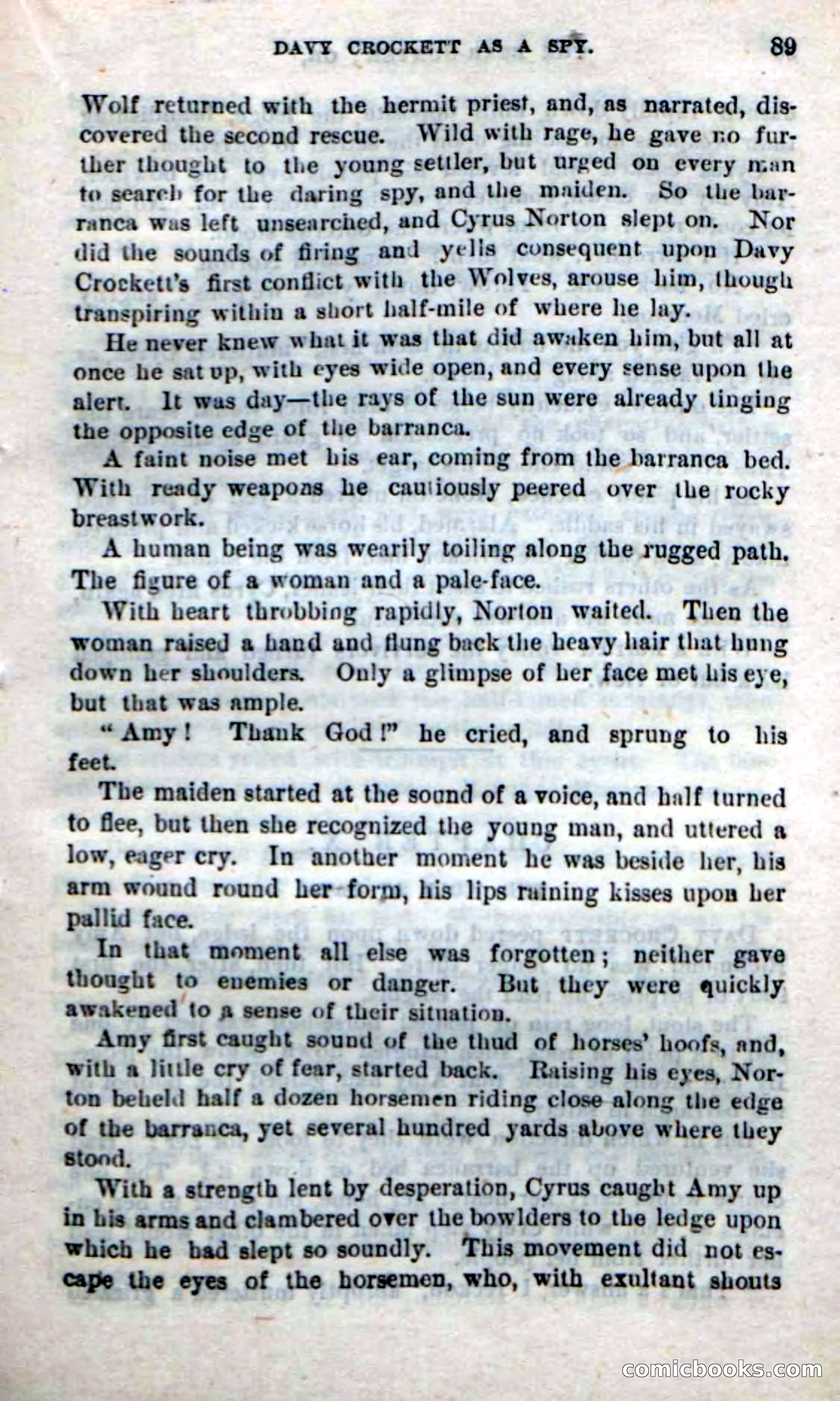 Beadle's New Dime Novels: The Bear-Hunter — page 85 of 100