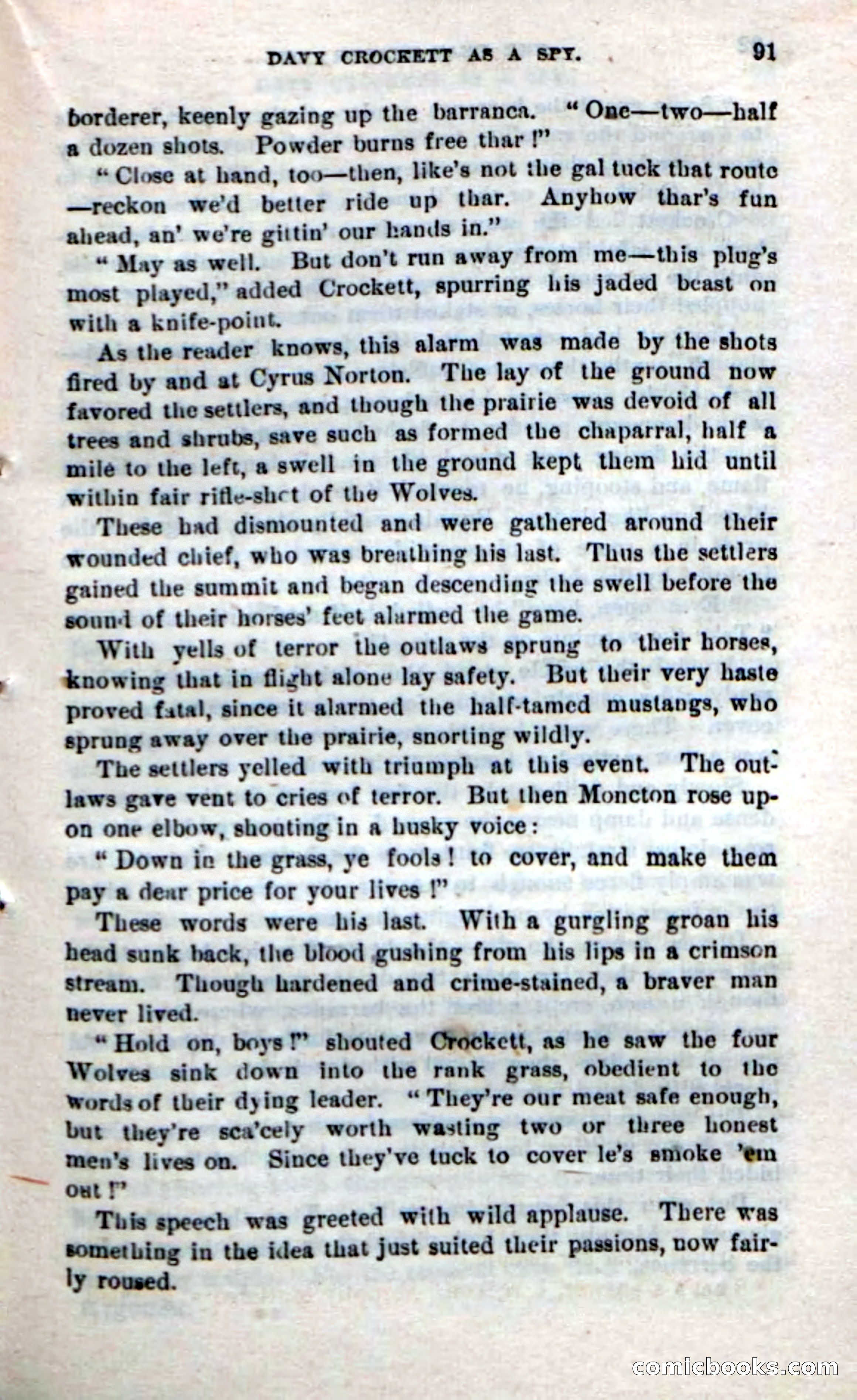 Beadle's New Dime Novels: The Bear-Hunter — page 87 of 100