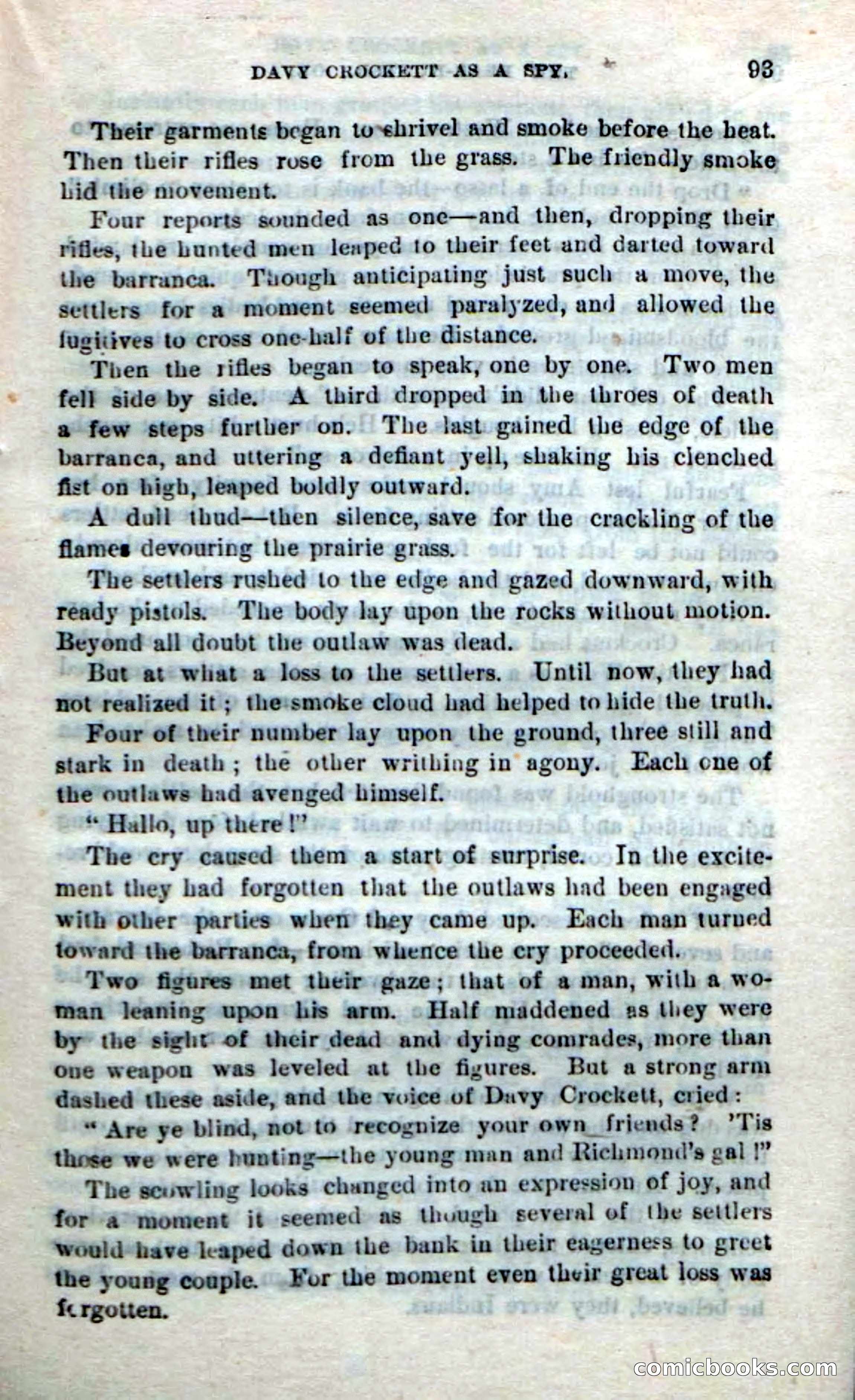 Beadle's New Dime Novels: The Bear-Hunter — page 89 of 100