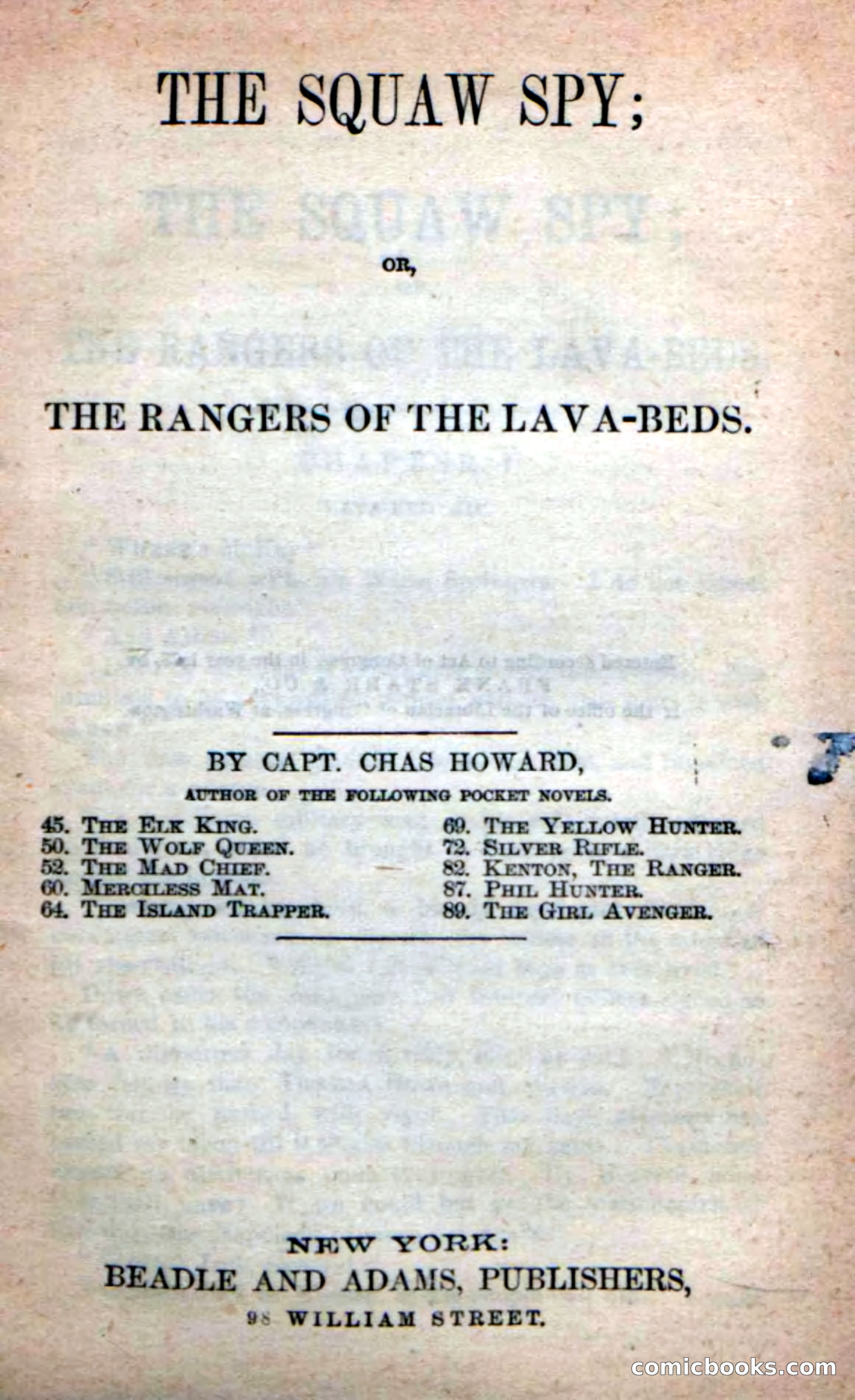 The Squaw Spy — page 3 of 100