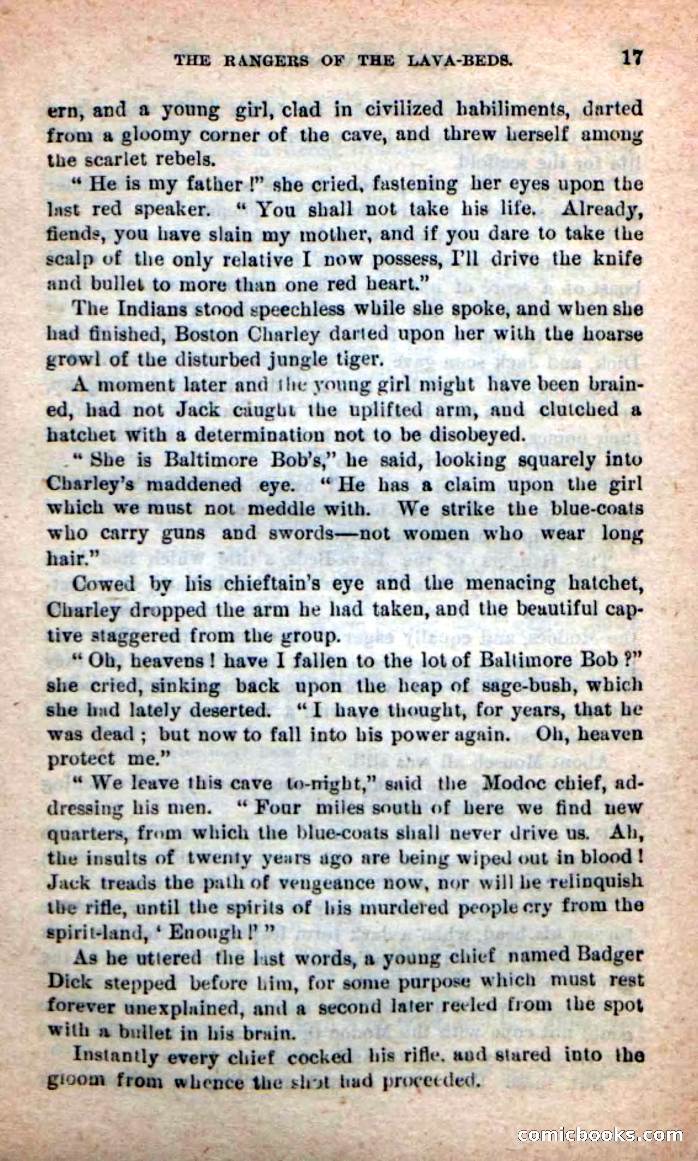The Squaw Spy — page 13 of 100