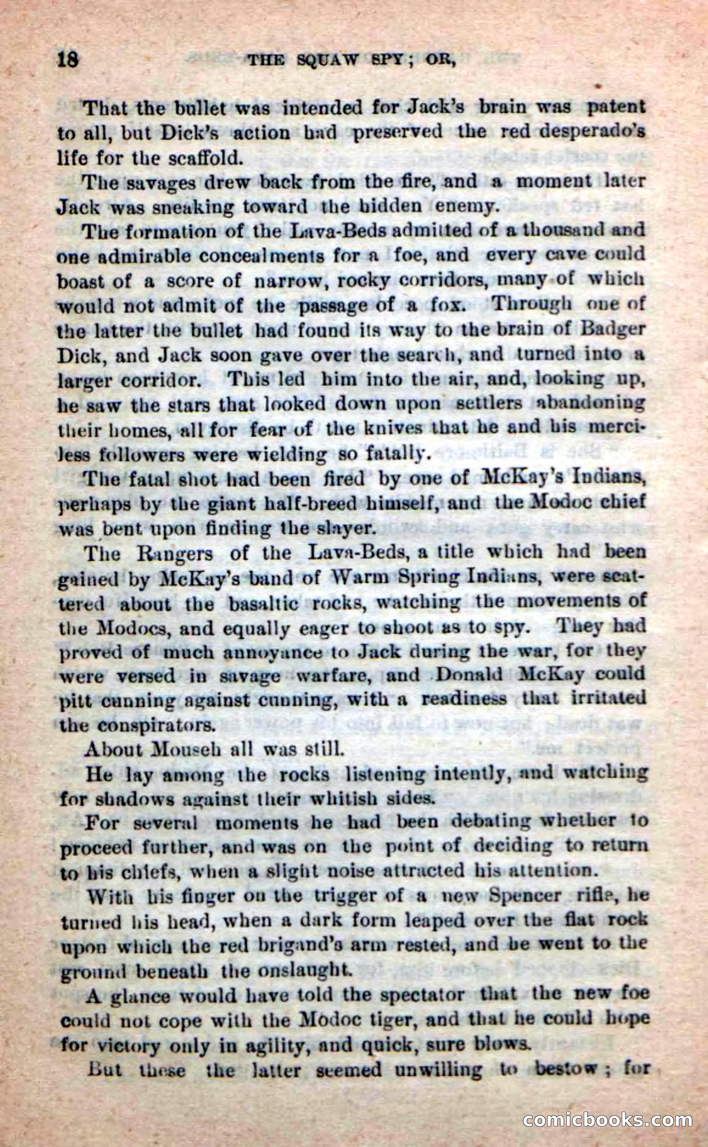The Squaw Spy — page 14 of 100