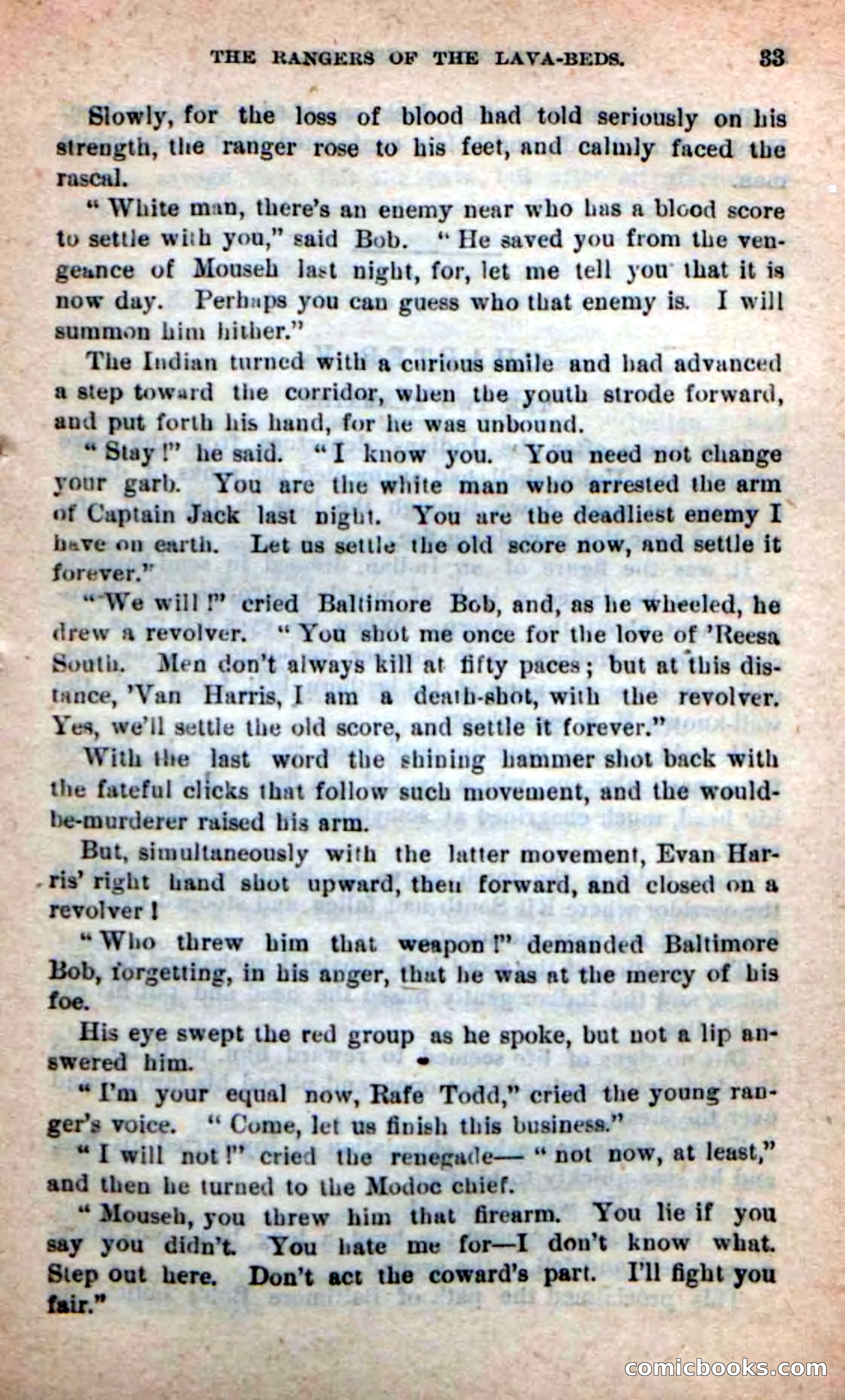 The Squaw Spy — page 29 of 100