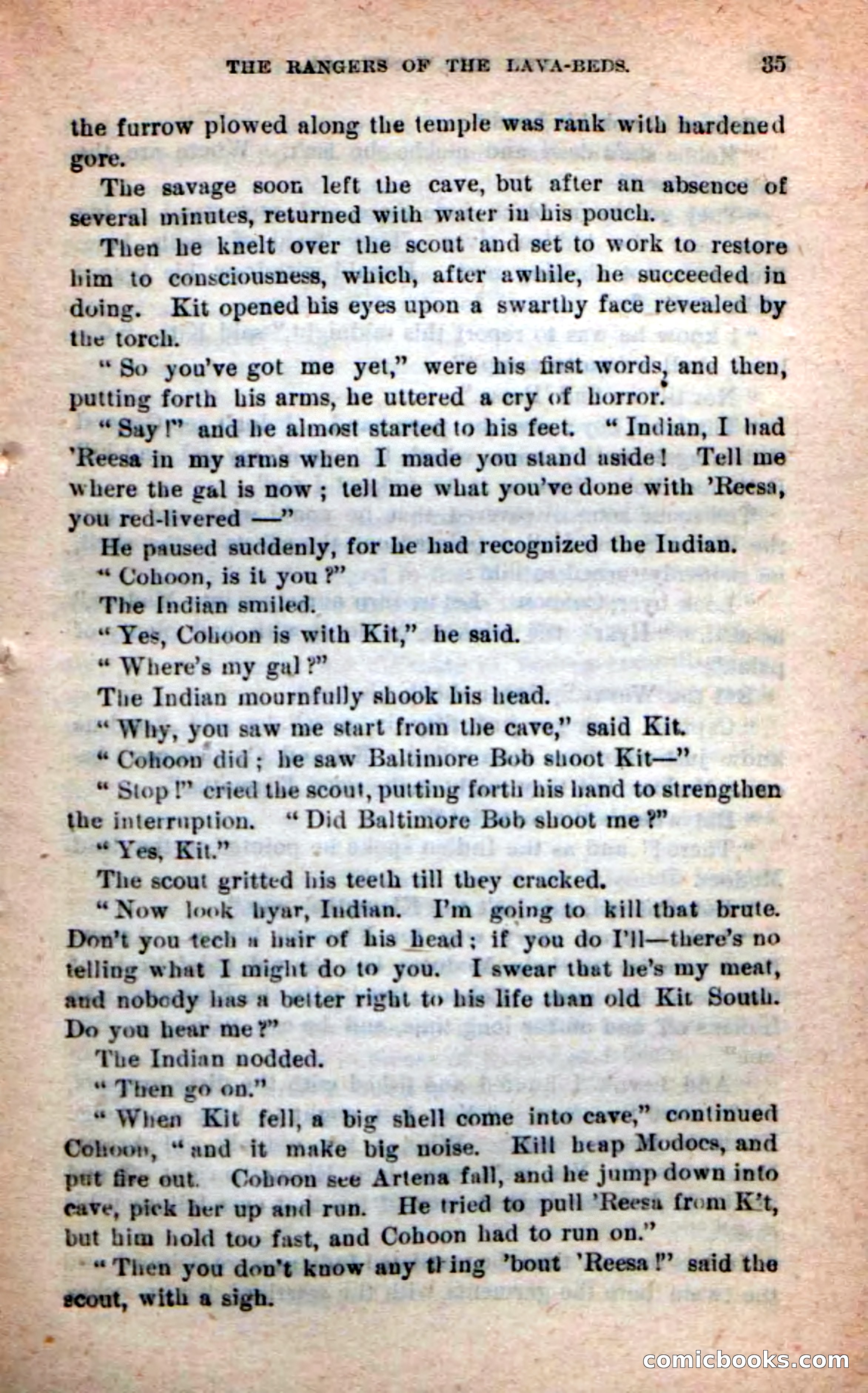 The Squaw Spy — page 31 of 100