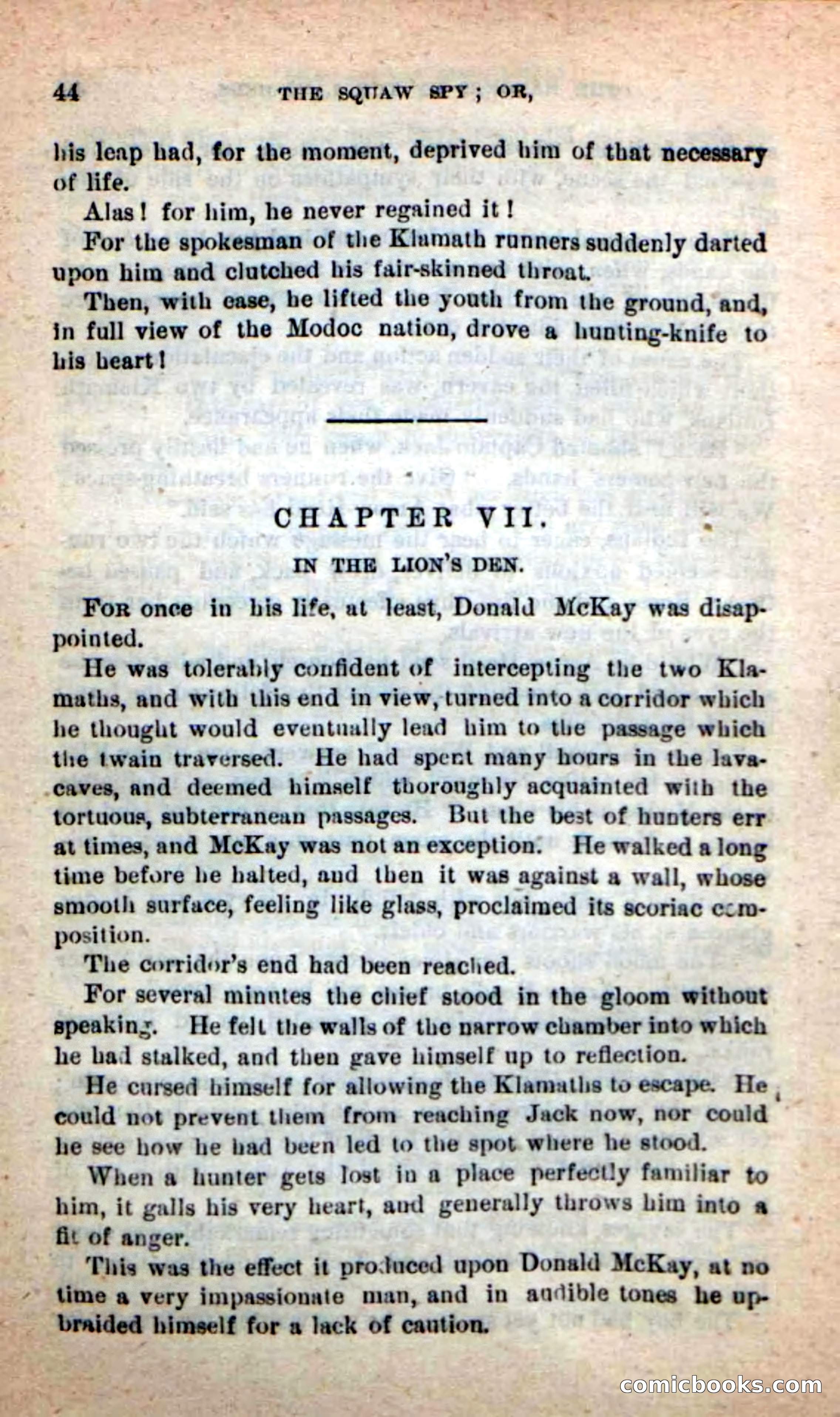 The Squaw Spy — page 40 of 100
