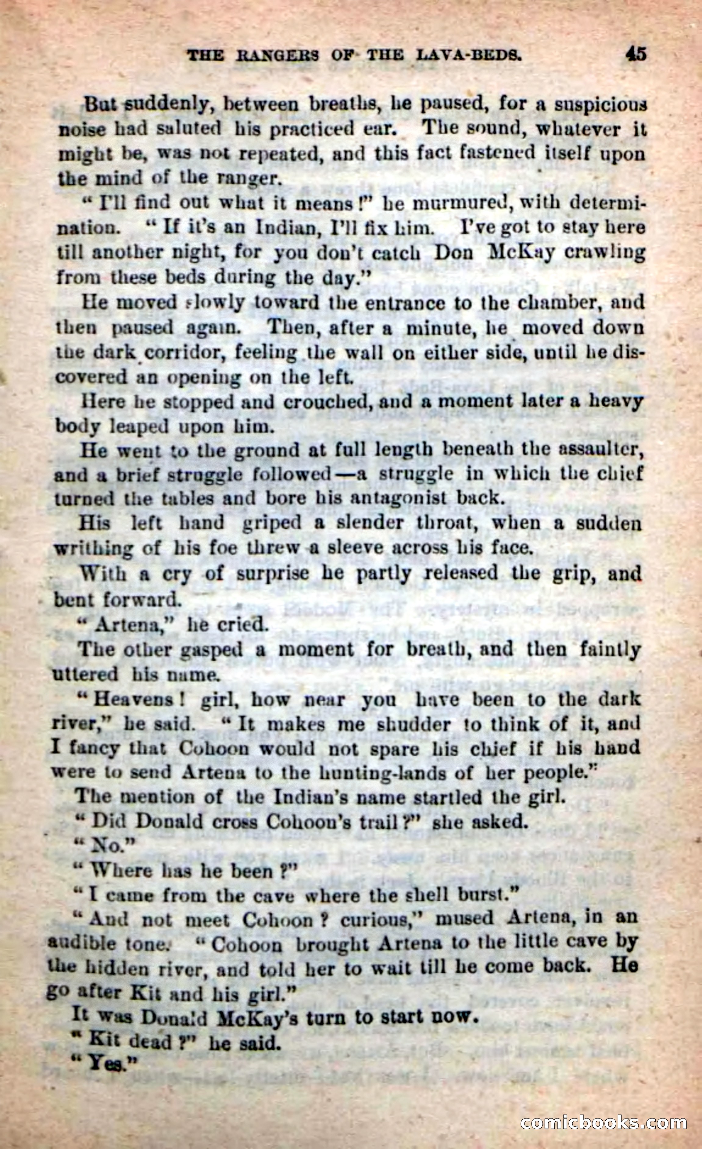 The Squaw Spy — page 41 of 100