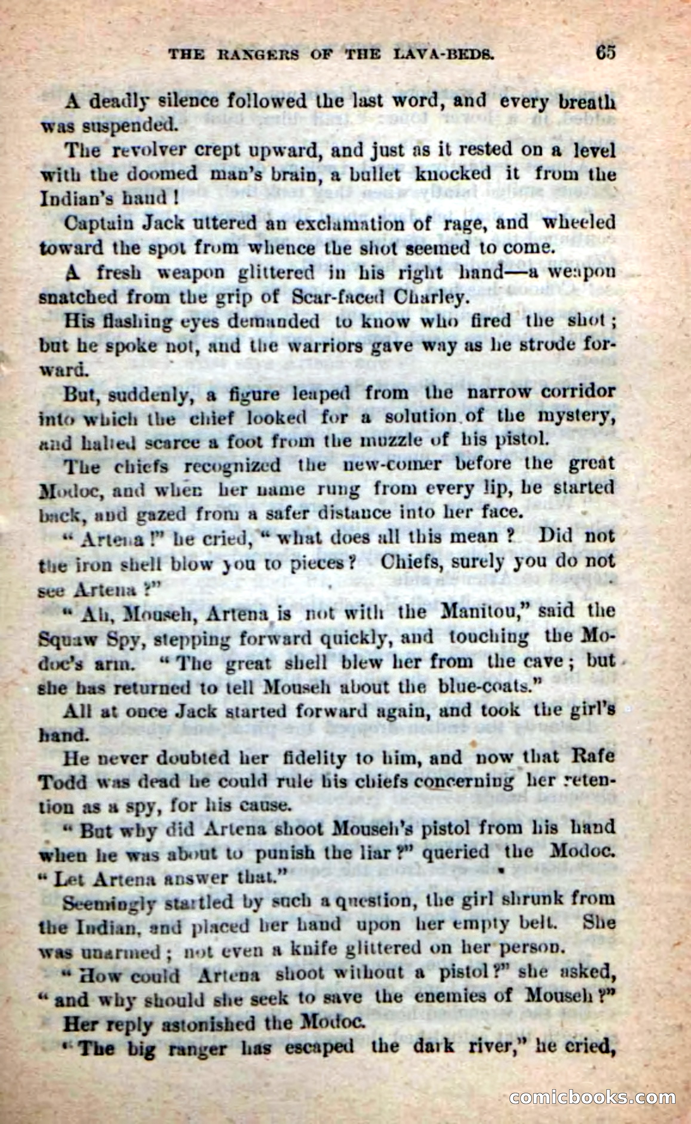 The Squaw Spy — page 61 of 100