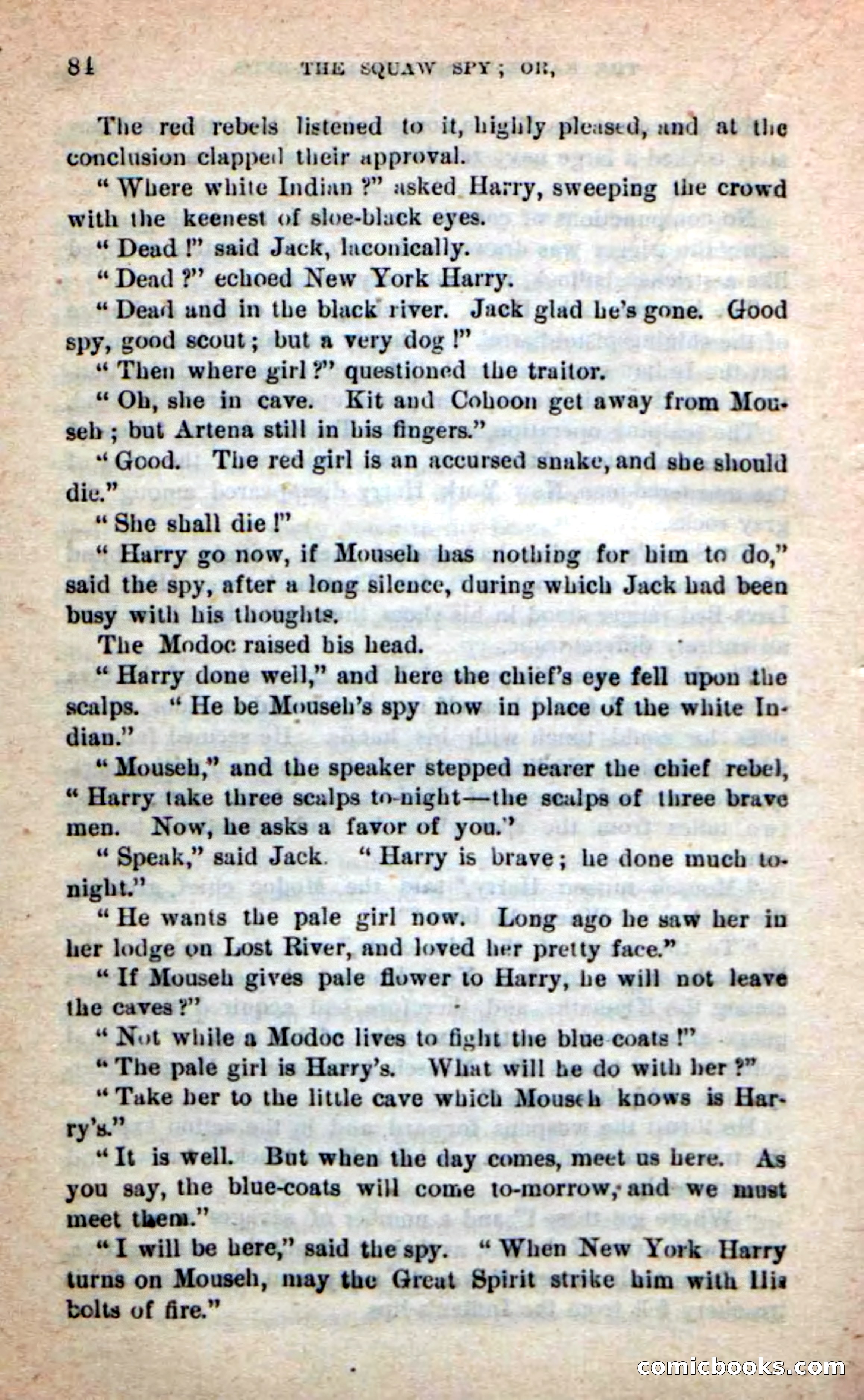 The Squaw Spy — page 80 of 100