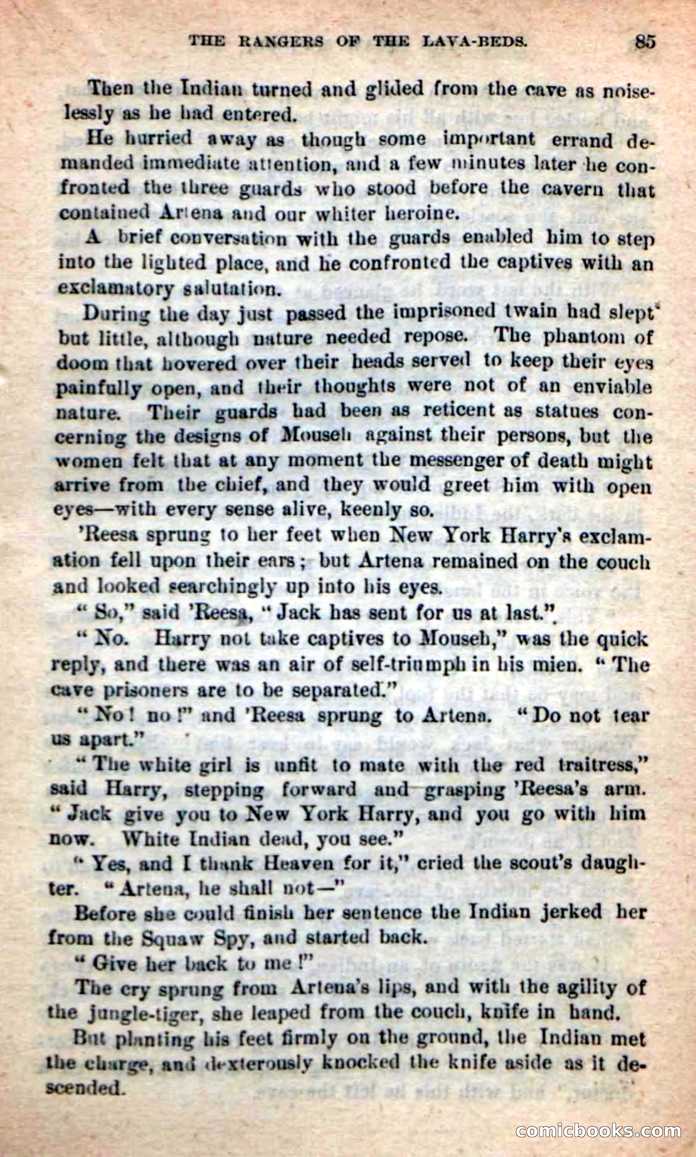 The Squaw Spy — page 81 of 100