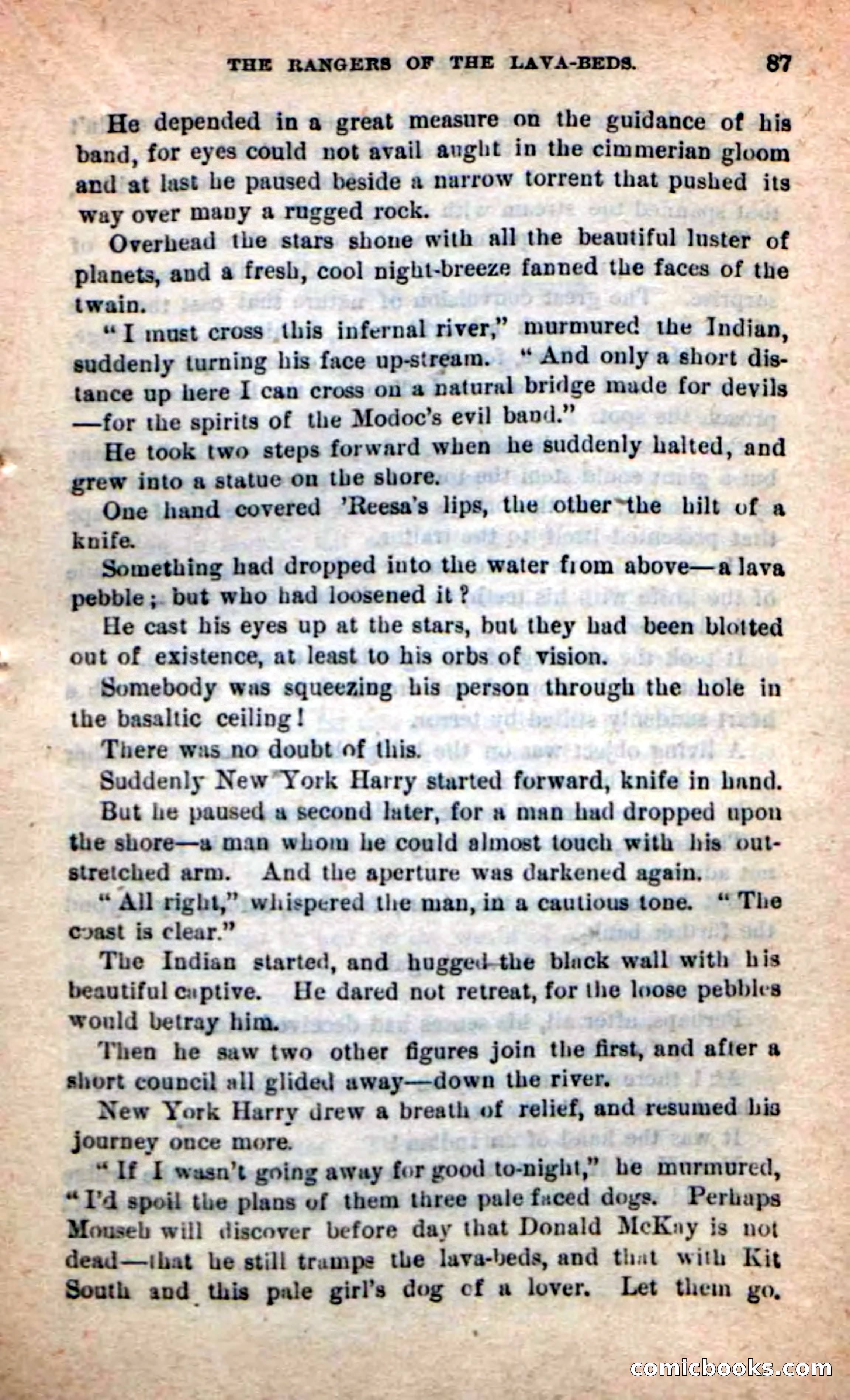 The Squaw Spy — page 83 of 100