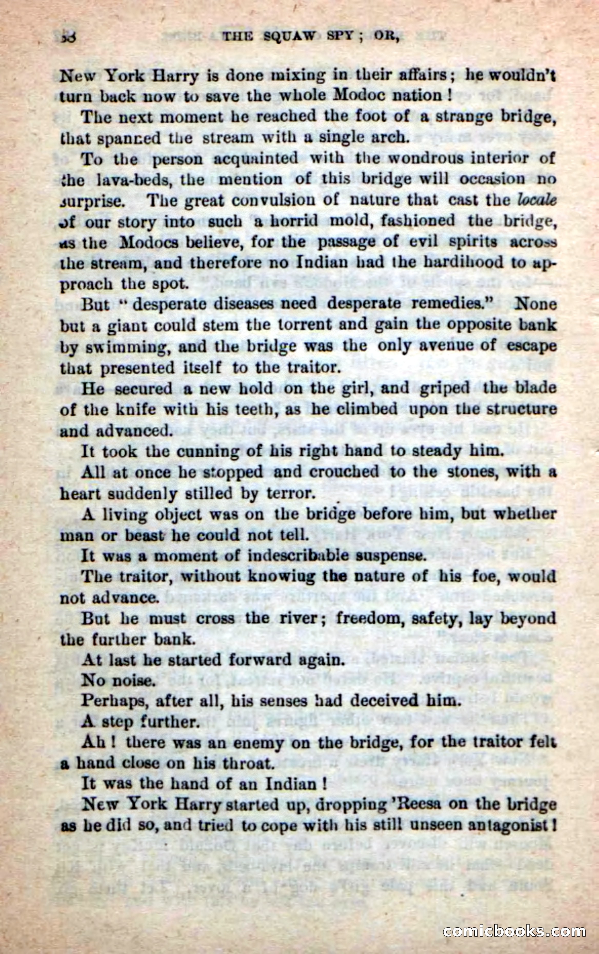 The Squaw Spy — page 84 of 100