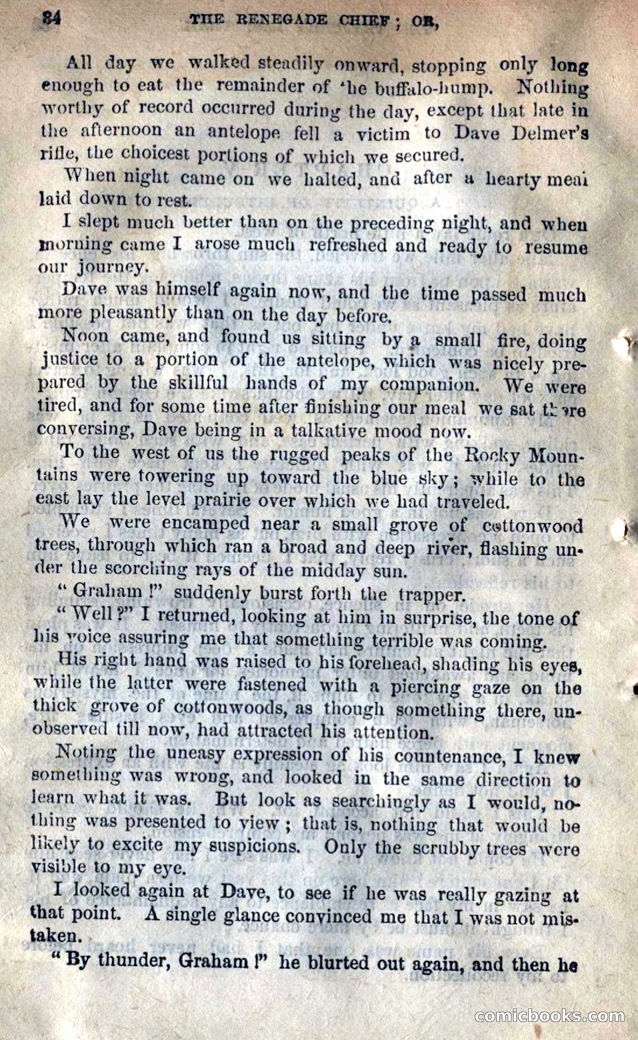 Beadle's New Dime Novels: 'Kirke, the Renegade' — page 30 of 100