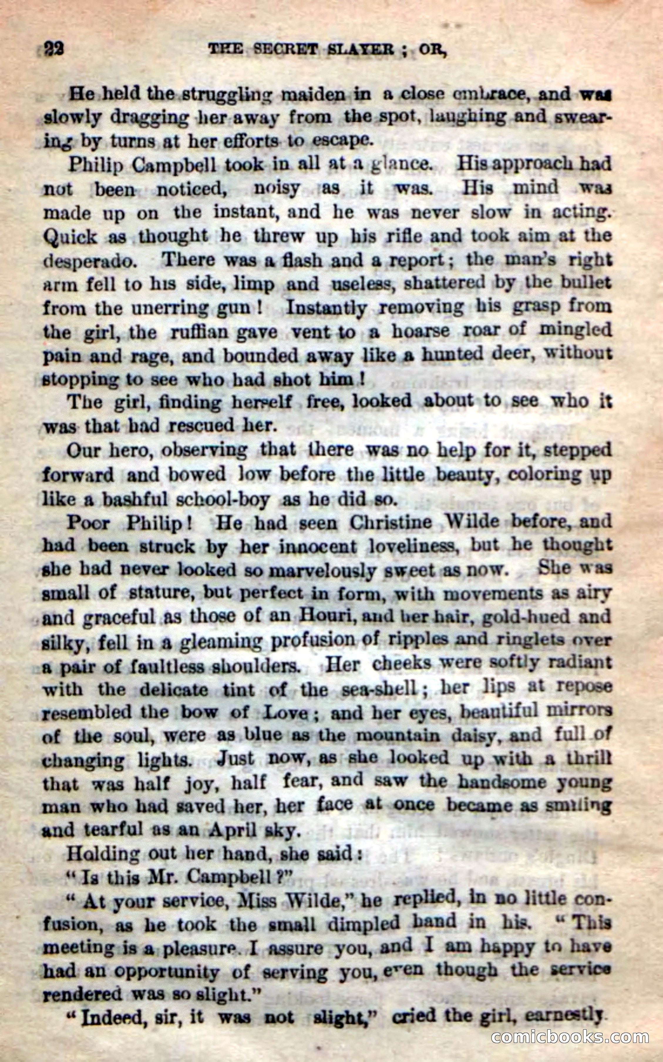 Beadle's New Dime Novels: 'Dingle, the Outlaw' — page 18 of 100