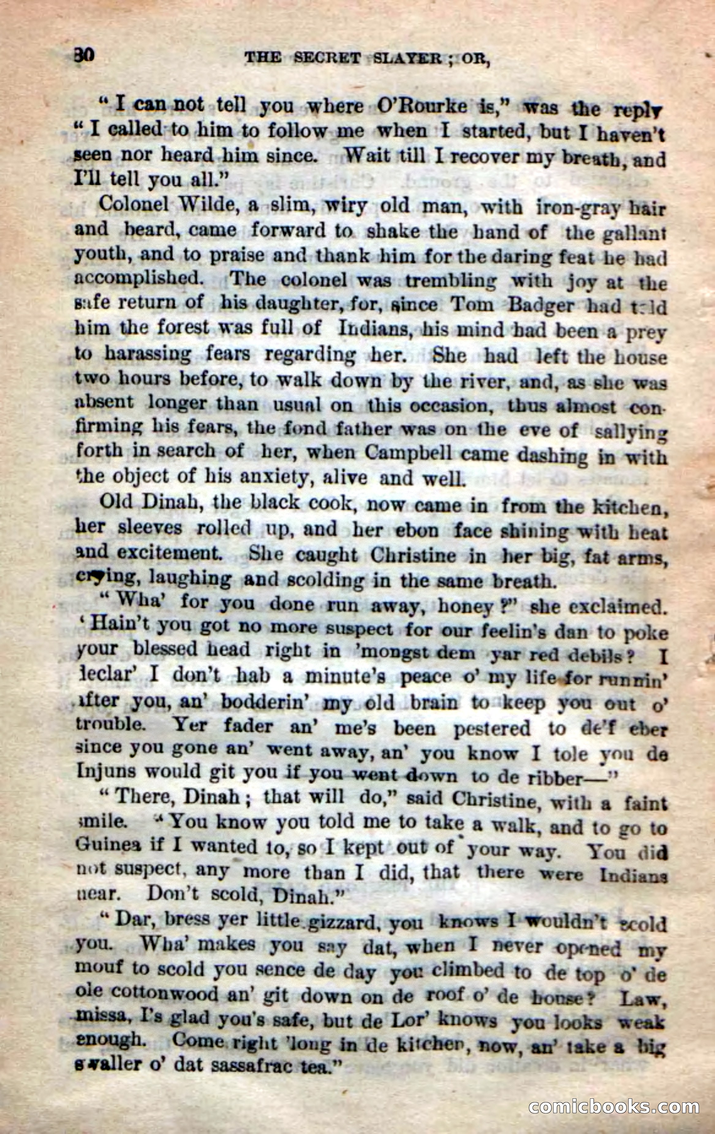 Beadle's New Dime Novels: 'Dingle, the Outlaw' — page 26 of 100