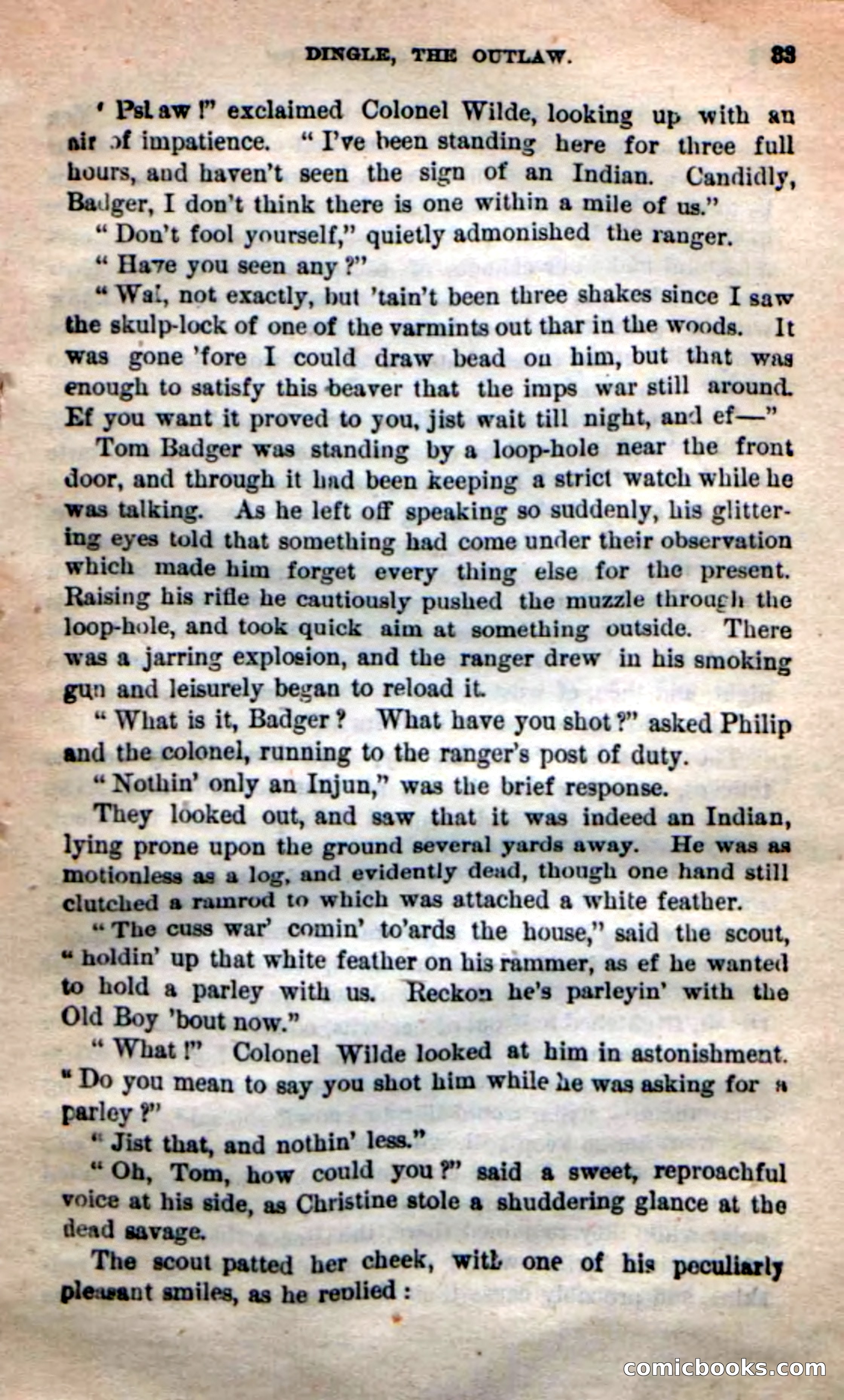 Beadle's New Dime Novels: 'Dingle, the Outlaw' — page 29 of 100