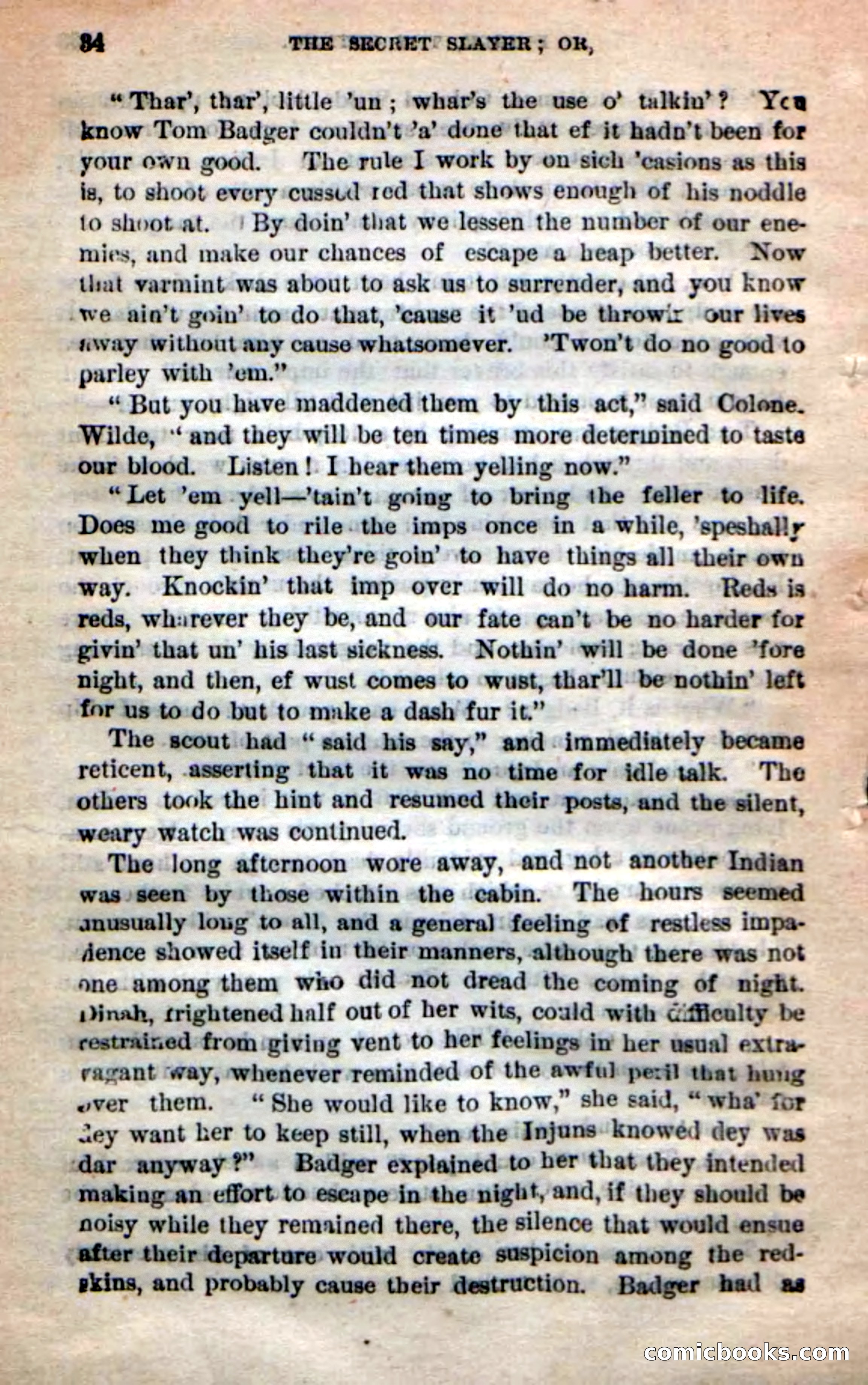 Beadle's New Dime Novels: 'Dingle, the Outlaw' — page 30 of 100