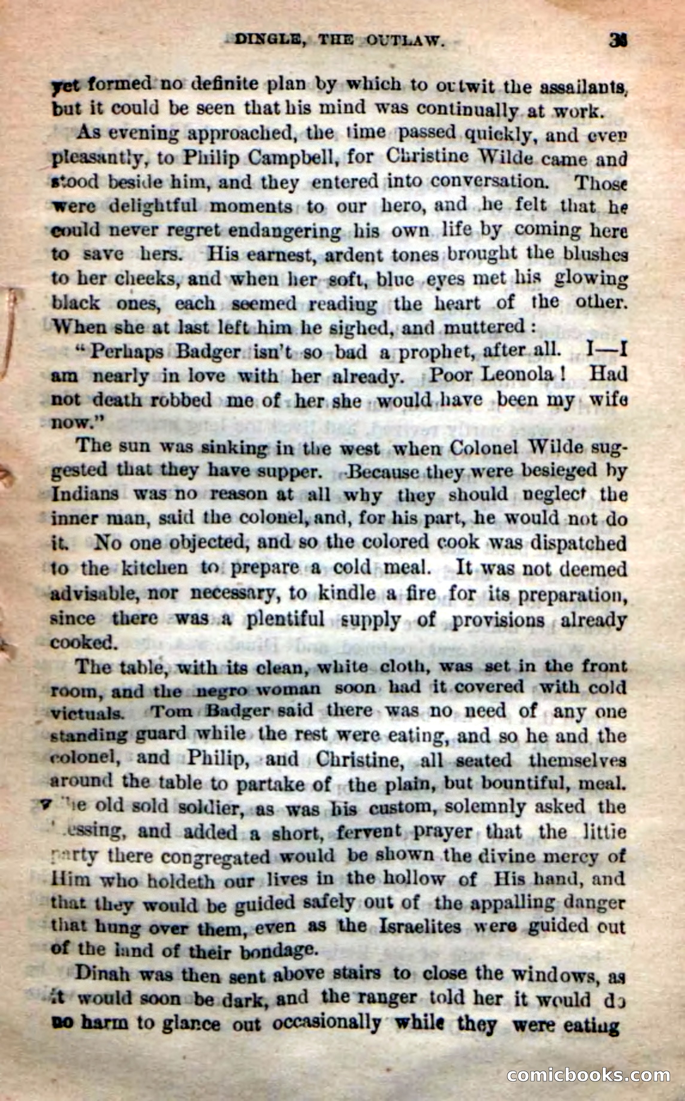 Beadle's New Dime Novels: 'Dingle, the Outlaw' — page 31 of 100