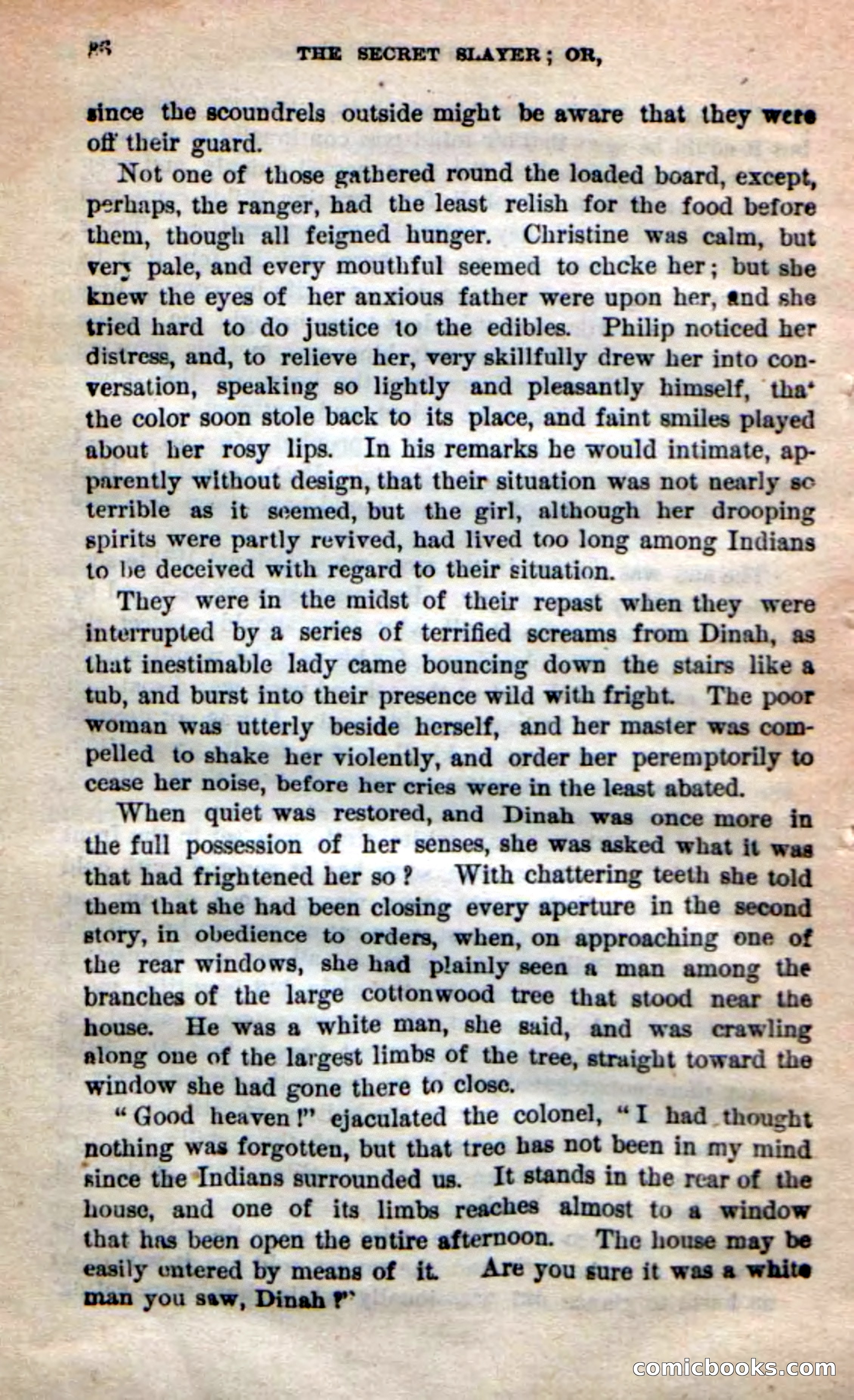 Beadle's New Dime Novels: 'Dingle, the Outlaw' — page 32 of 100
