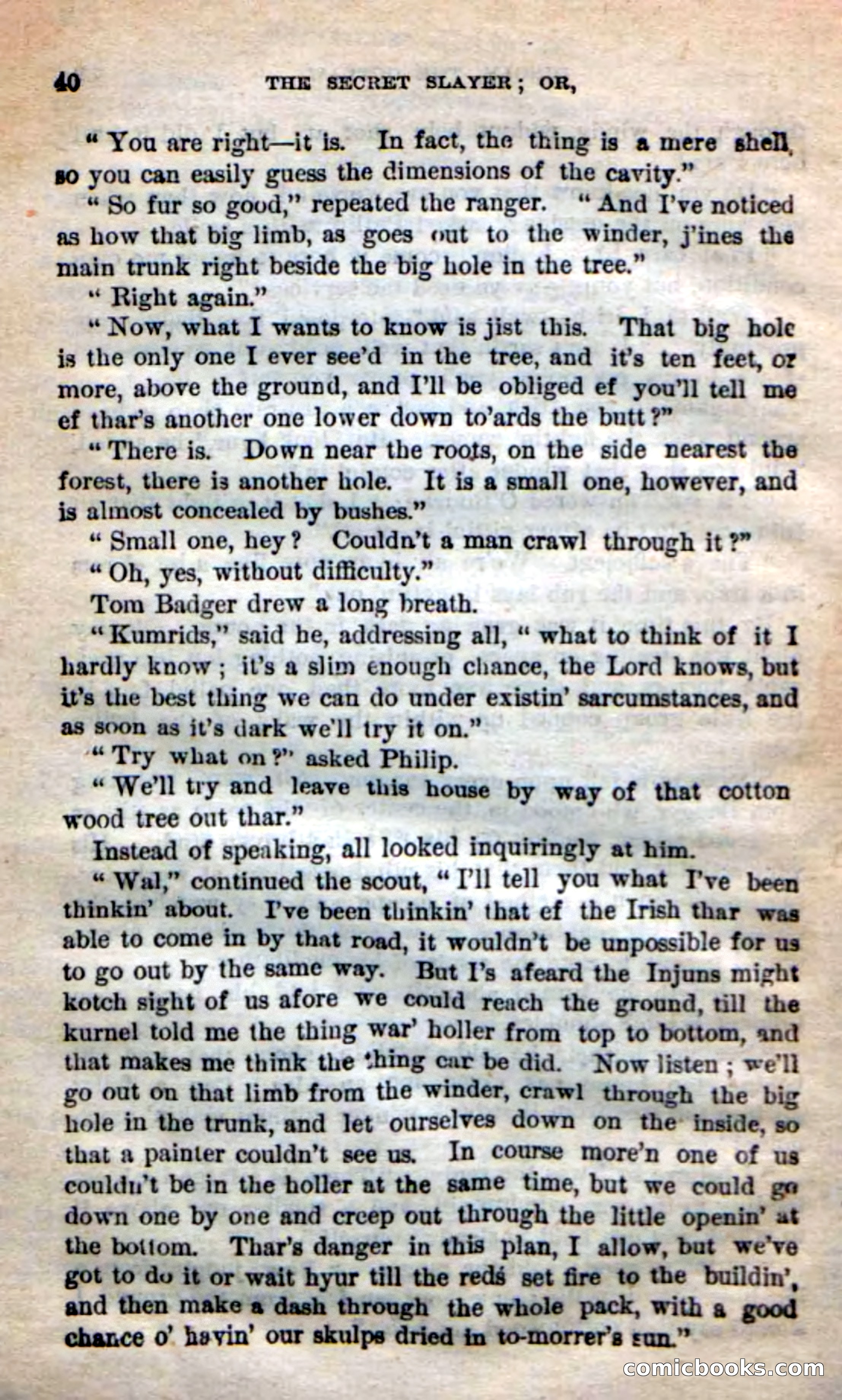 Beadle's New Dime Novels: 'Dingle, the Outlaw' — page 36 of 100