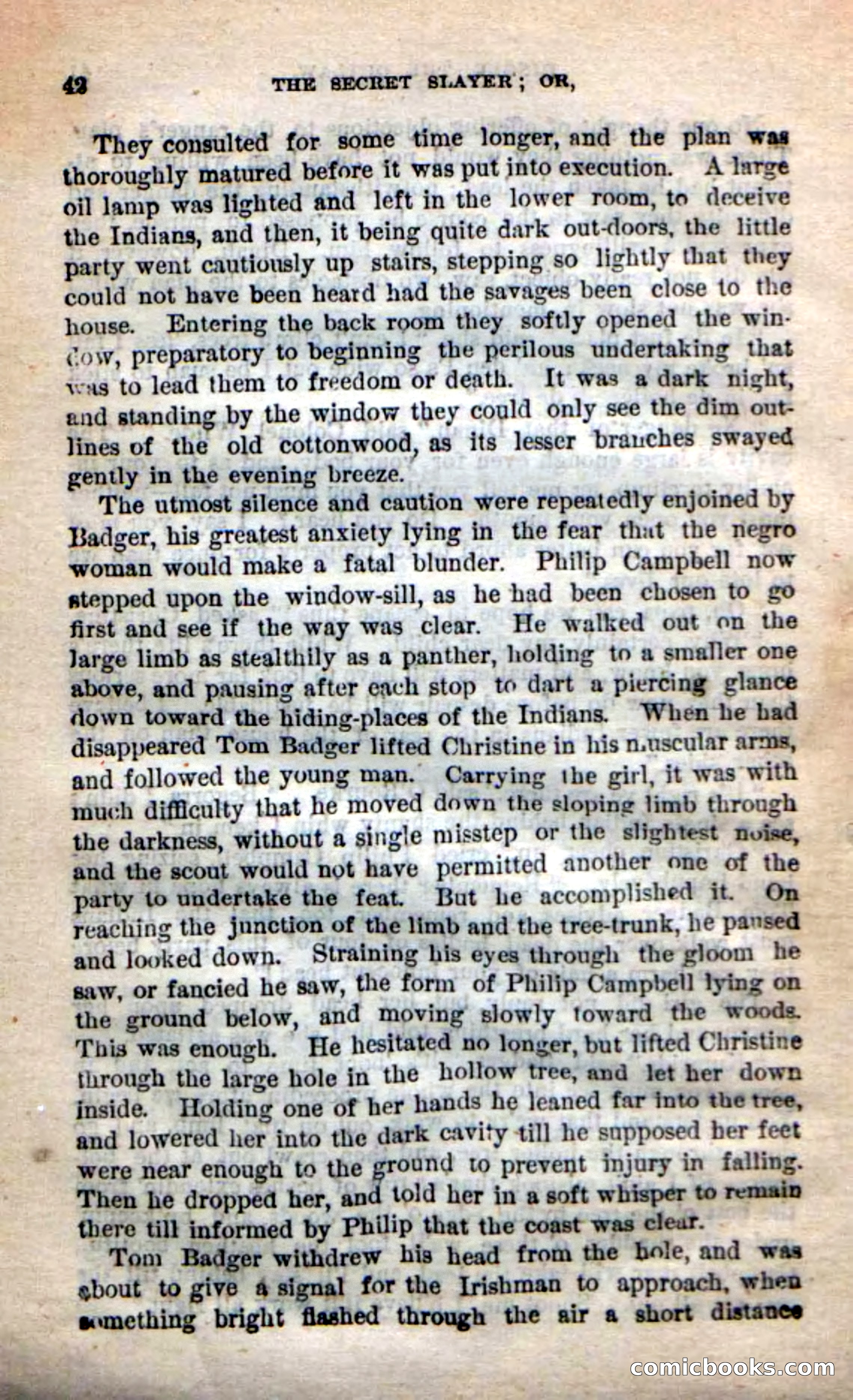 Beadle's New Dime Novels: 'Dingle, the Outlaw' — page 38 of 100