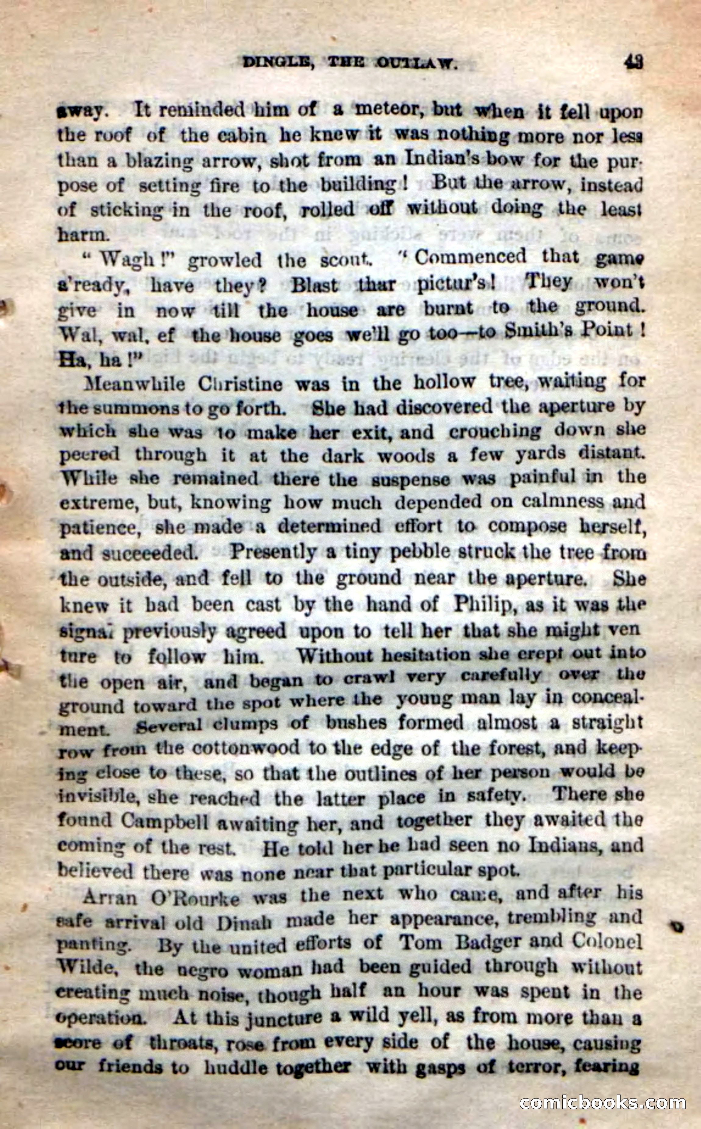 Beadle's New Dime Novels: 'Dingle, the Outlaw' — page 39 of 100