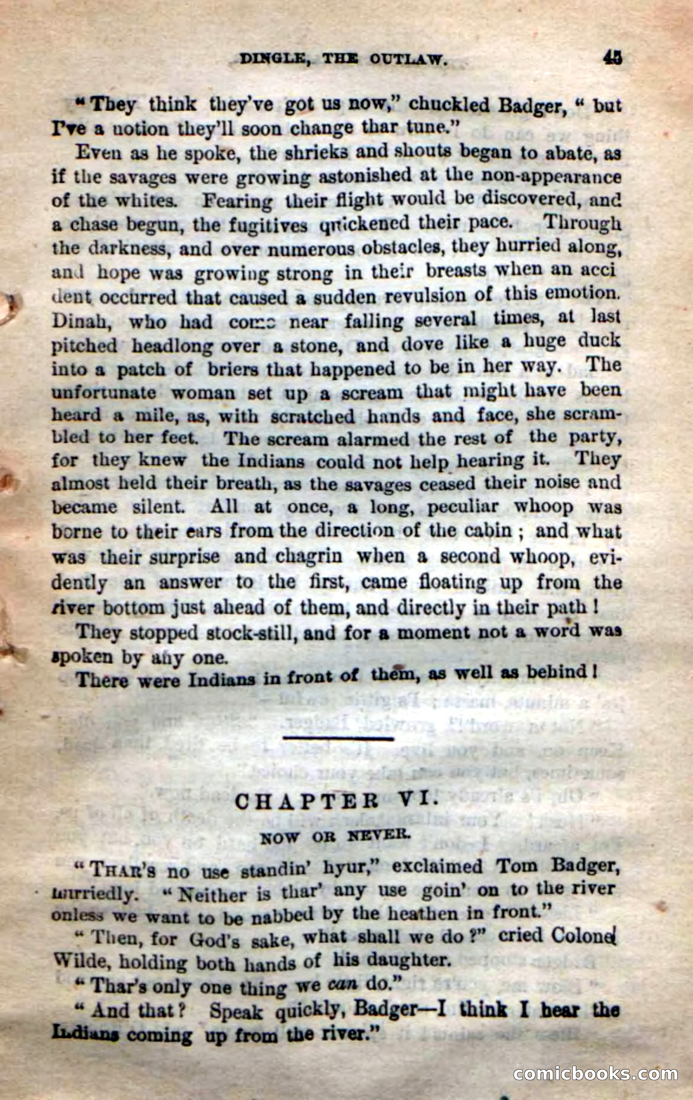 Beadle's New Dime Novels: 'Dingle, the Outlaw' — page 41 of 100