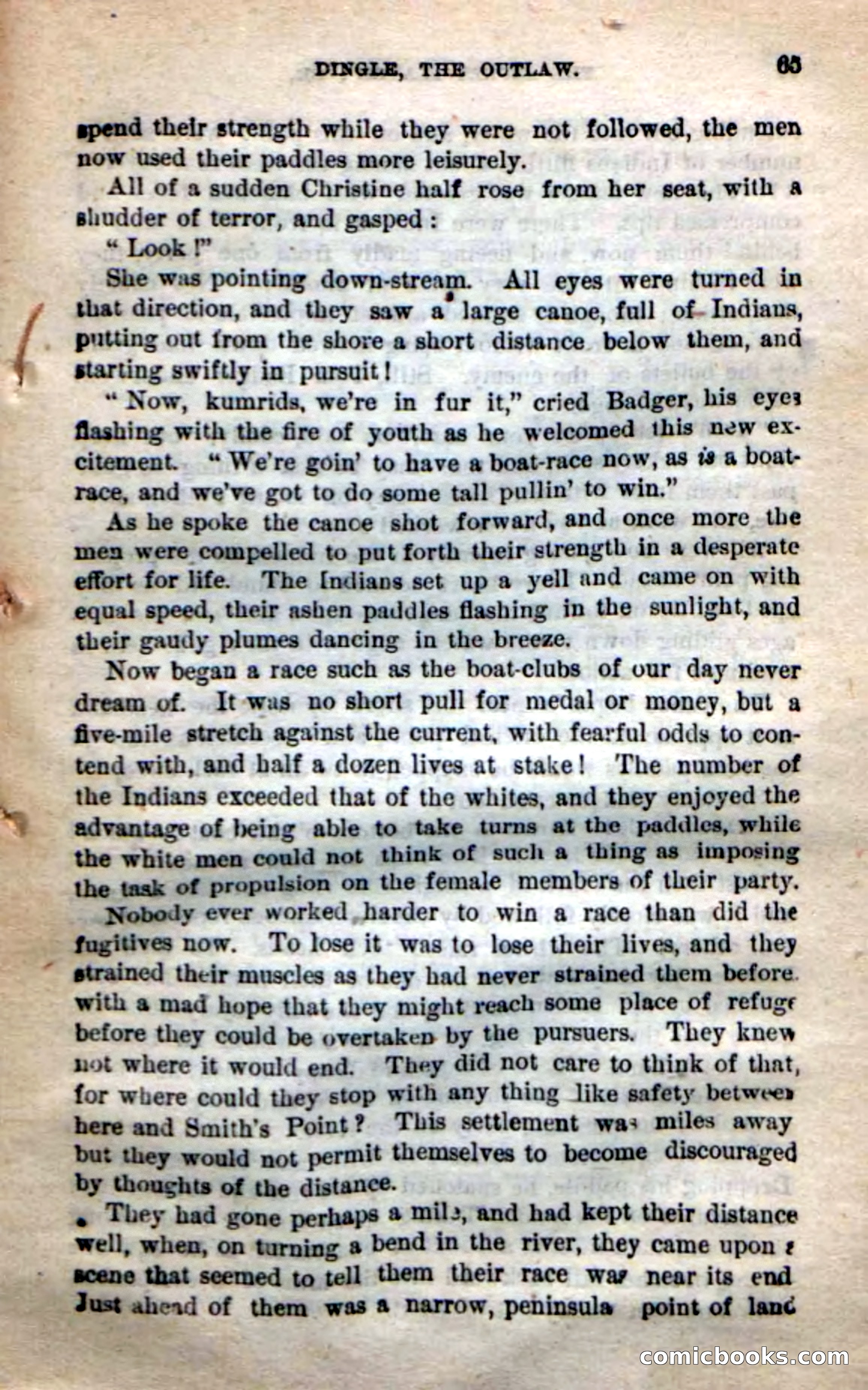 Beadle's New Dime Novels: 'Dingle, the Outlaw' — page 61 of 100