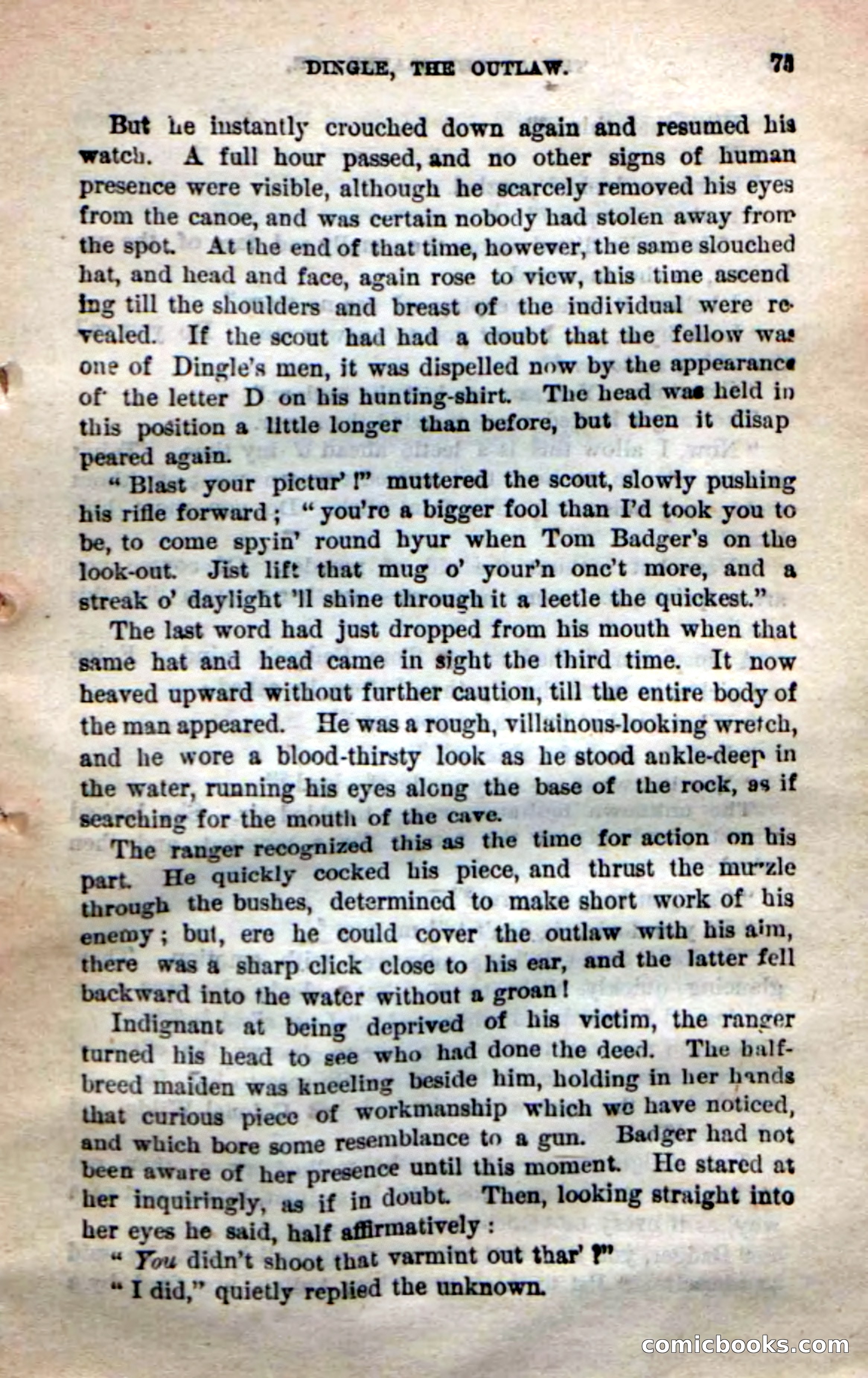 Beadle's New Dime Novels: 'Dingle, the Outlaw' — page 71 of 100