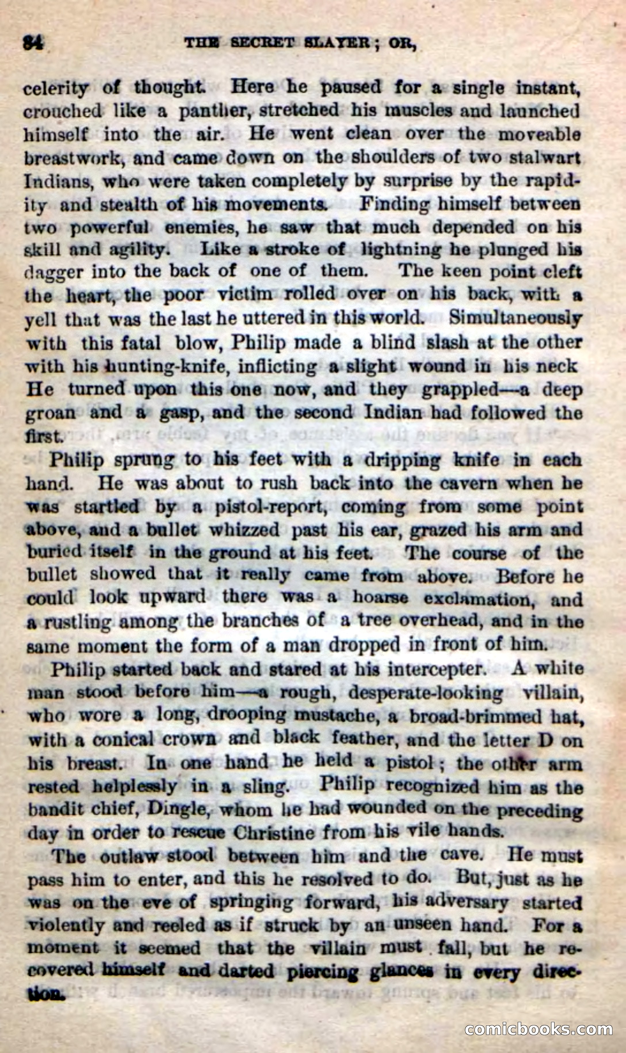 Beadle's New Dime Novels: 'Dingle, the Outlaw' — page 80 of 100