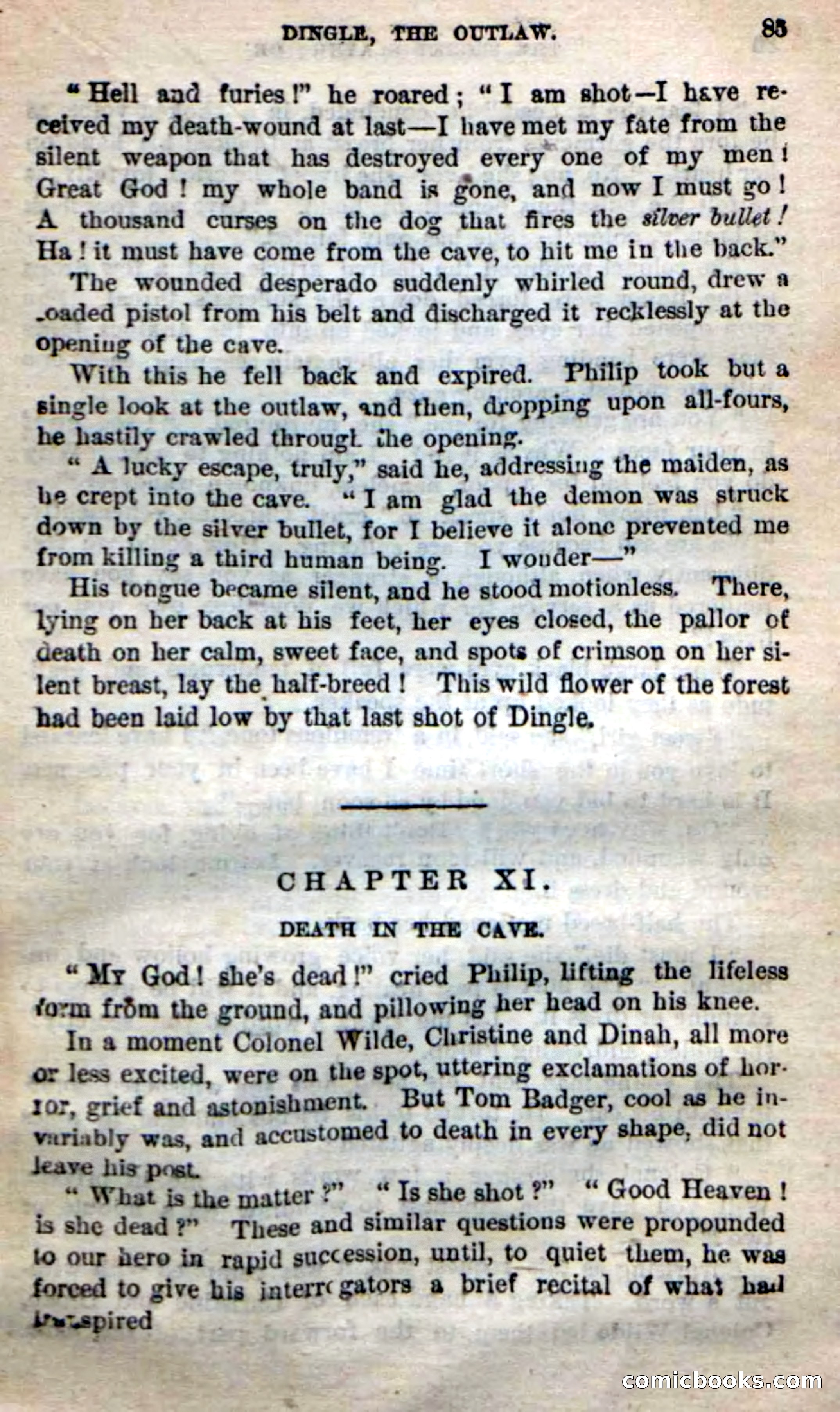 Beadle's New Dime Novels: 'Dingle, the Outlaw' — page 81 of 100