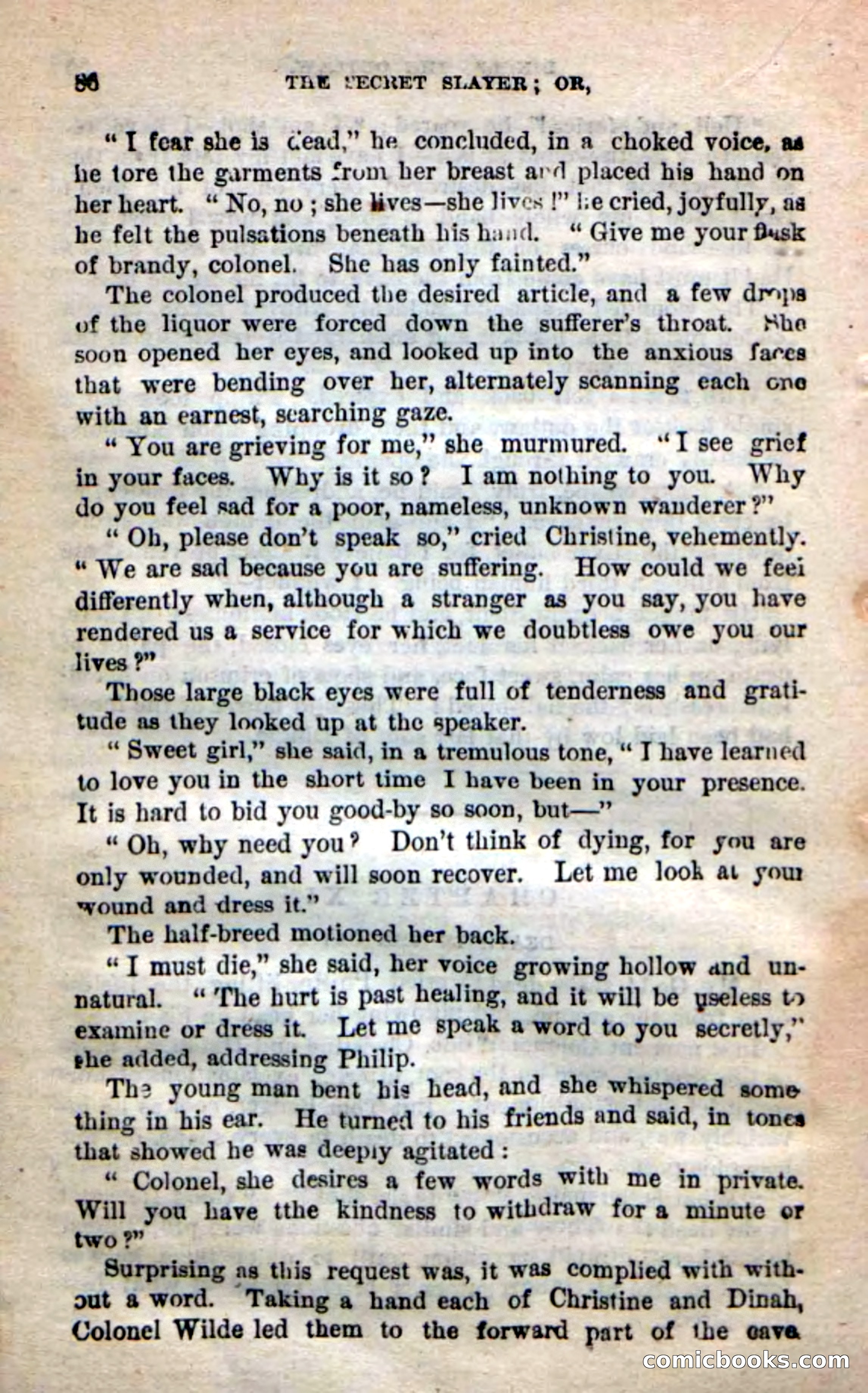 Beadle's New Dime Novels: 'Dingle, the Outlaw' — page 82 of 100