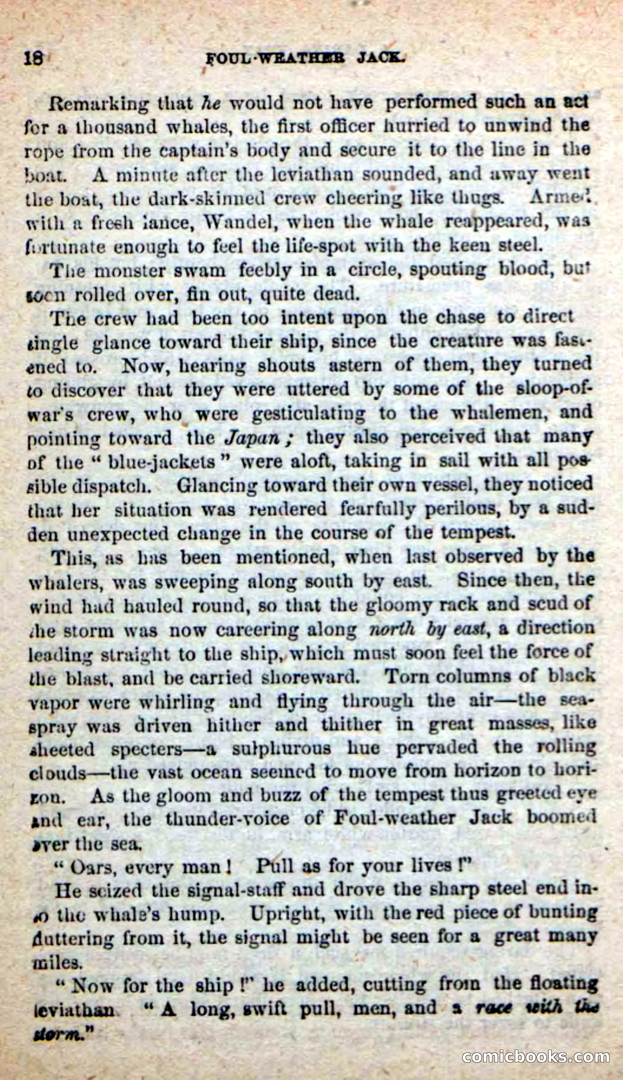 Beadle's New Dime Novels: Foul-Weather Jack — page 14 of 100