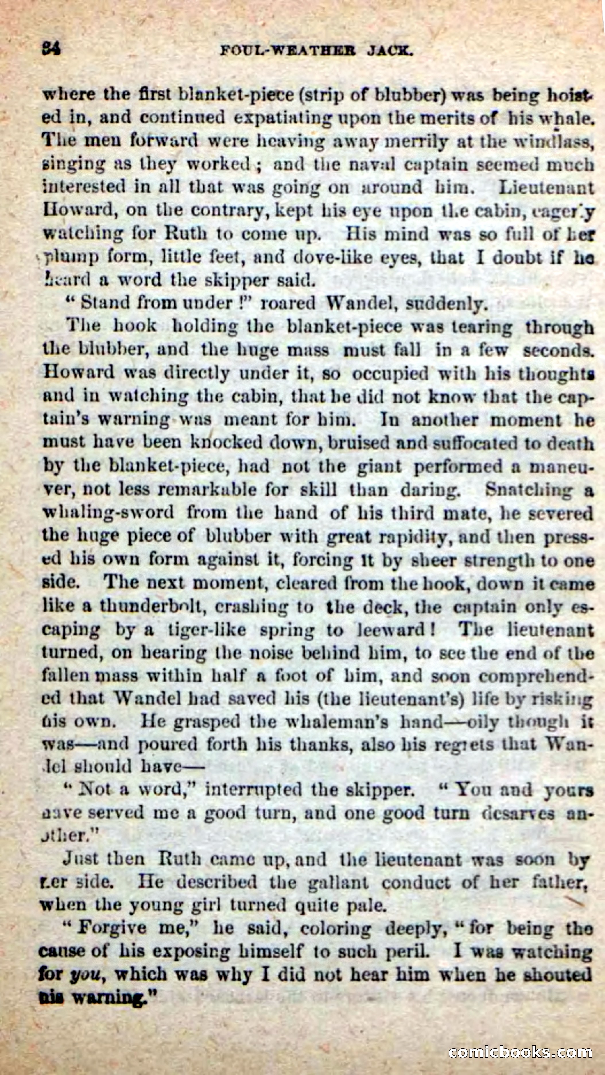 Beadle's New Dime Novels: Foul-Weather Jack — page 30 of 100