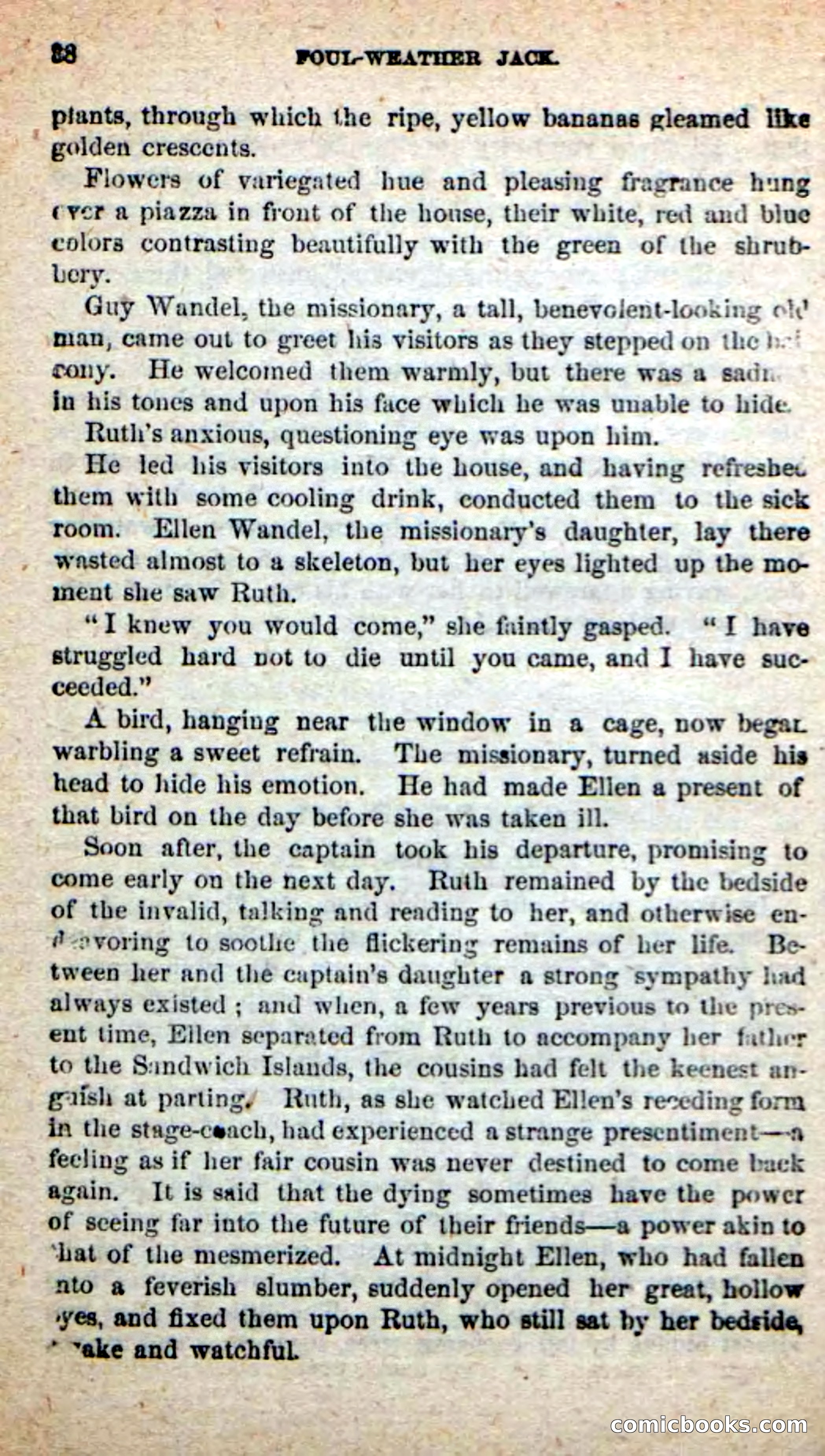Beadle's New Dime Novels: Foul-Weather Jack — page 34 of 100