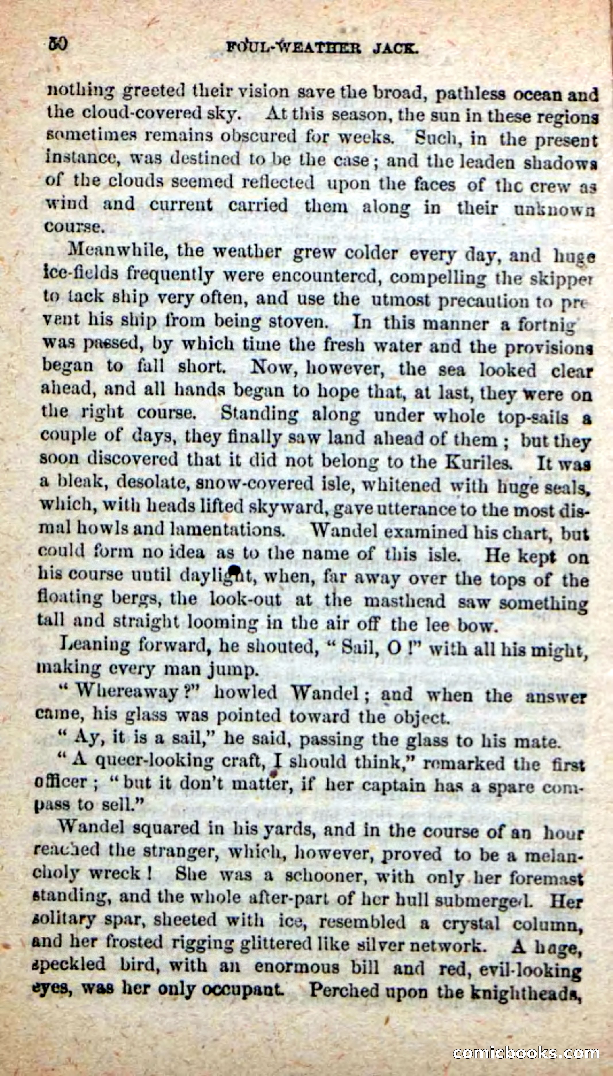 Beadle's New Dime Novels: Foul-Weather Jack — page 46 of 100