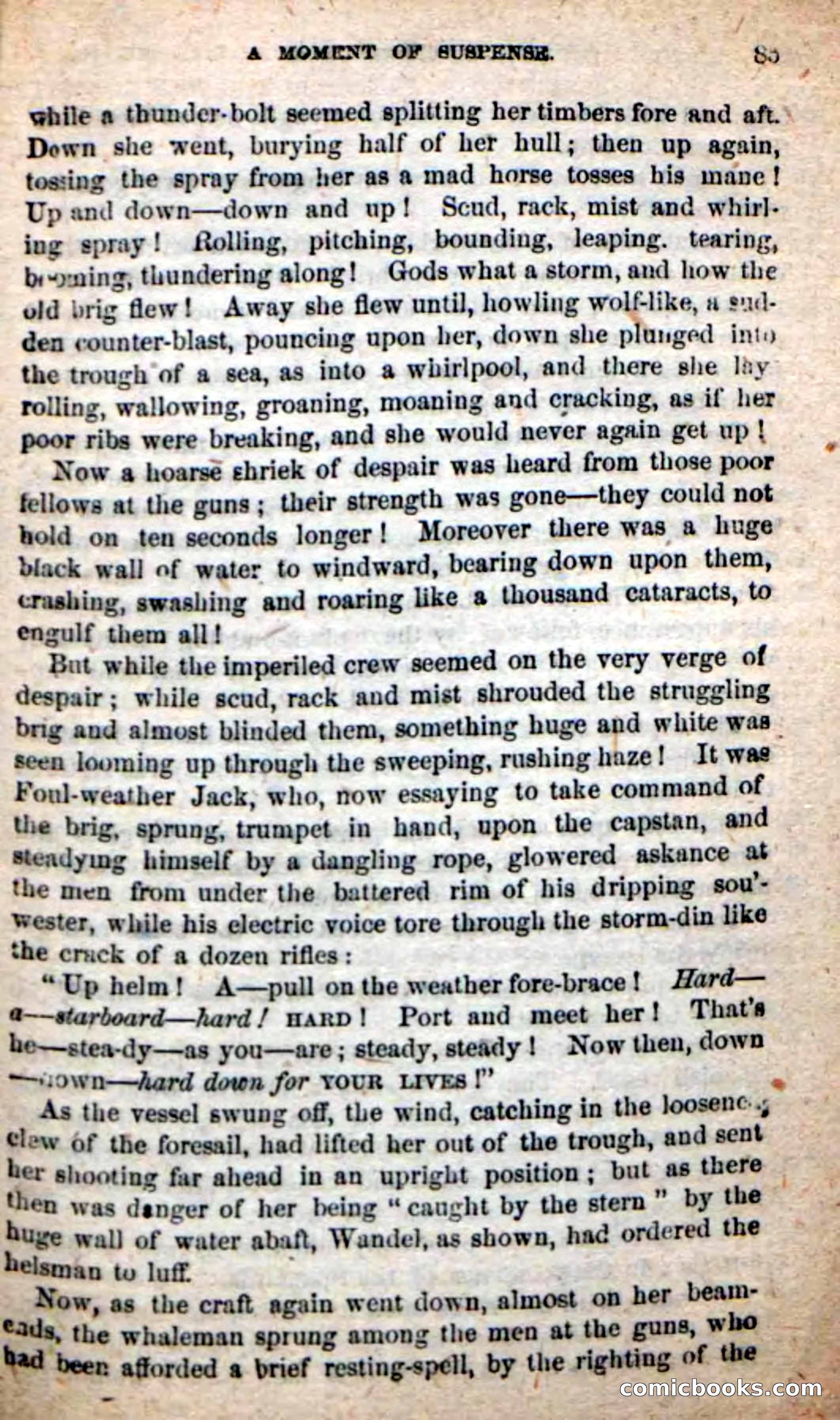 Beadle's New Dime Novels: Foul-Weather Jack — page 81 of 100