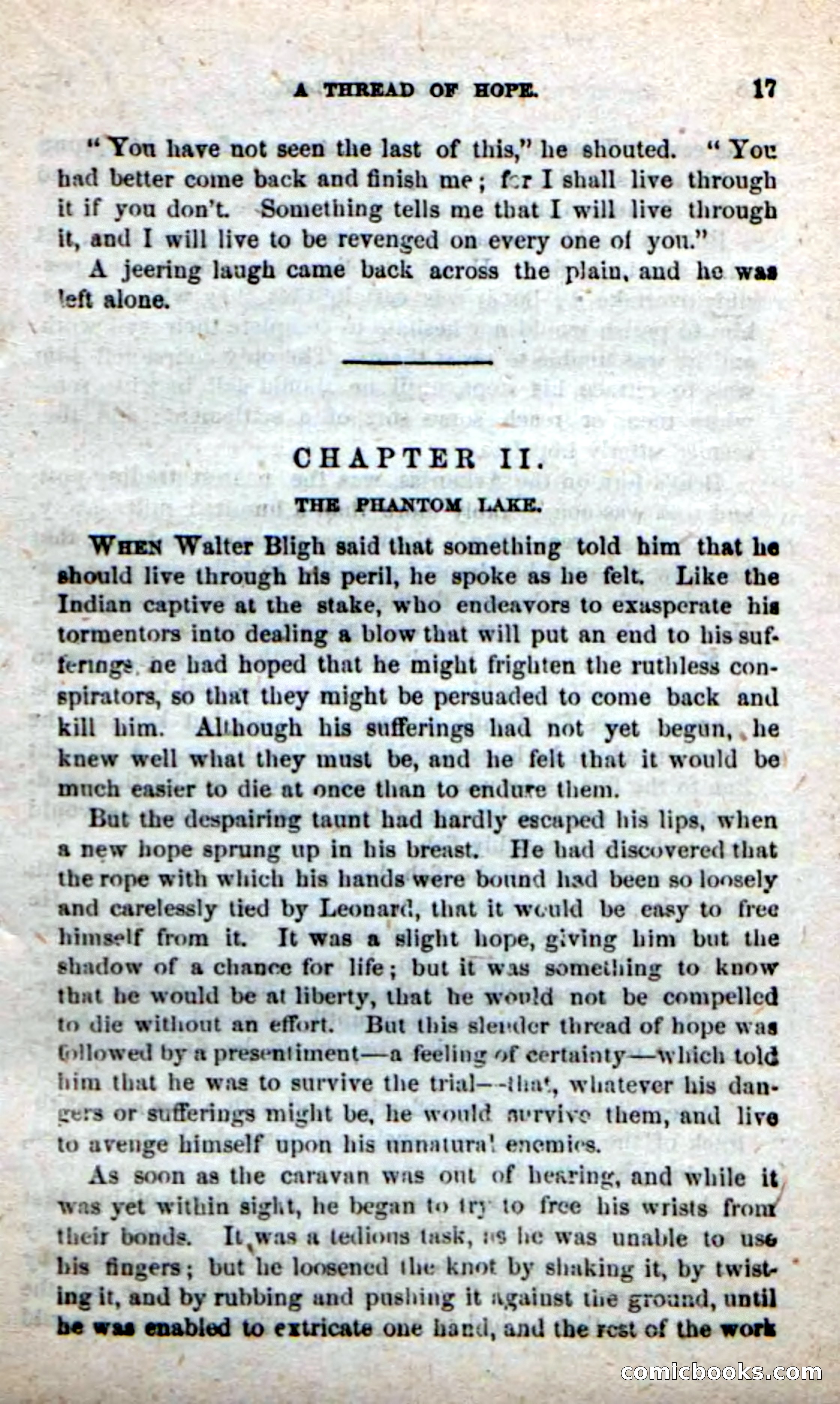 Beadle's New Dime Novels: Alone on the Plains — page 11 of 98