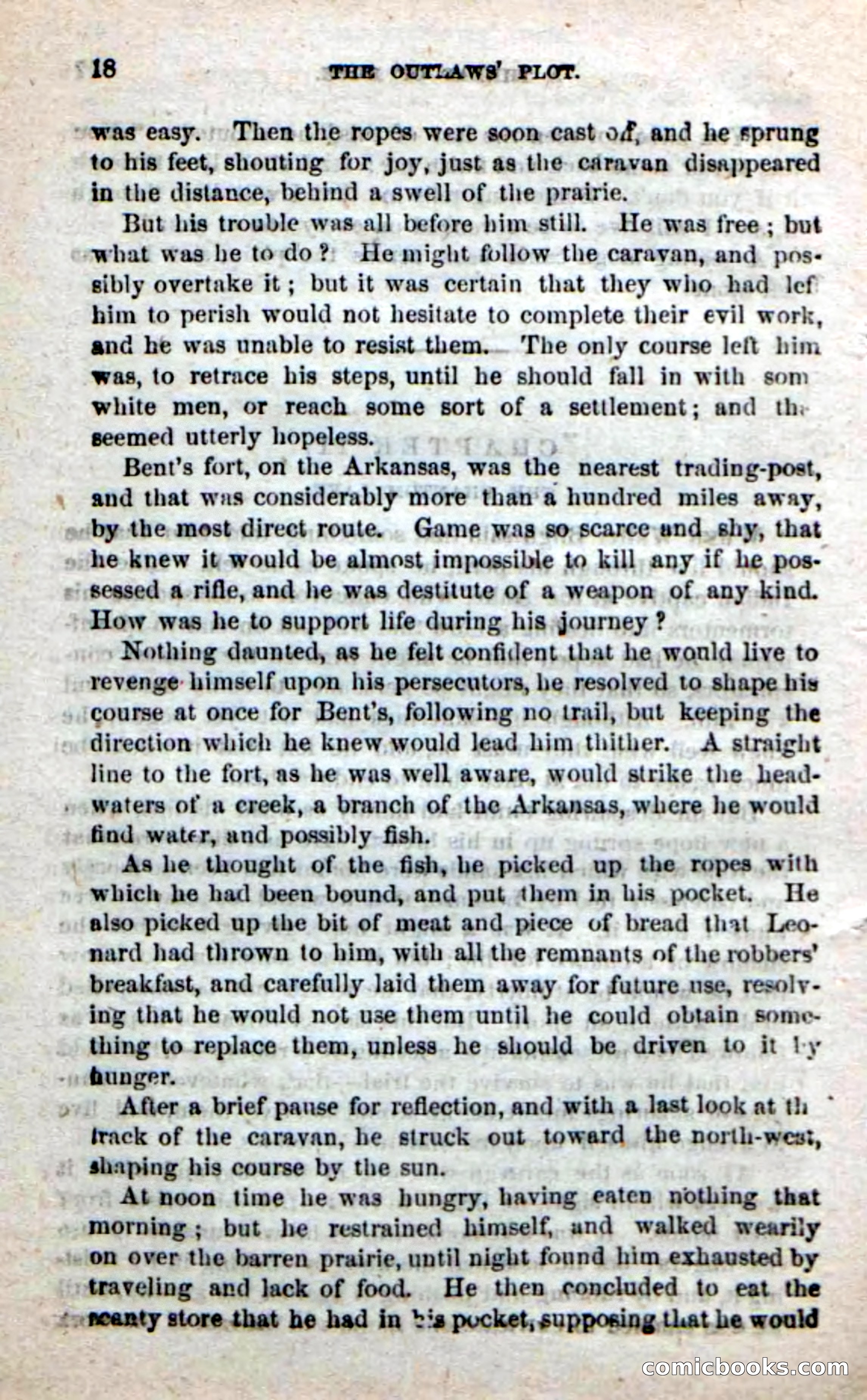 Beadle's New Dime Novels: Alone on the Plains — page 12 of 98