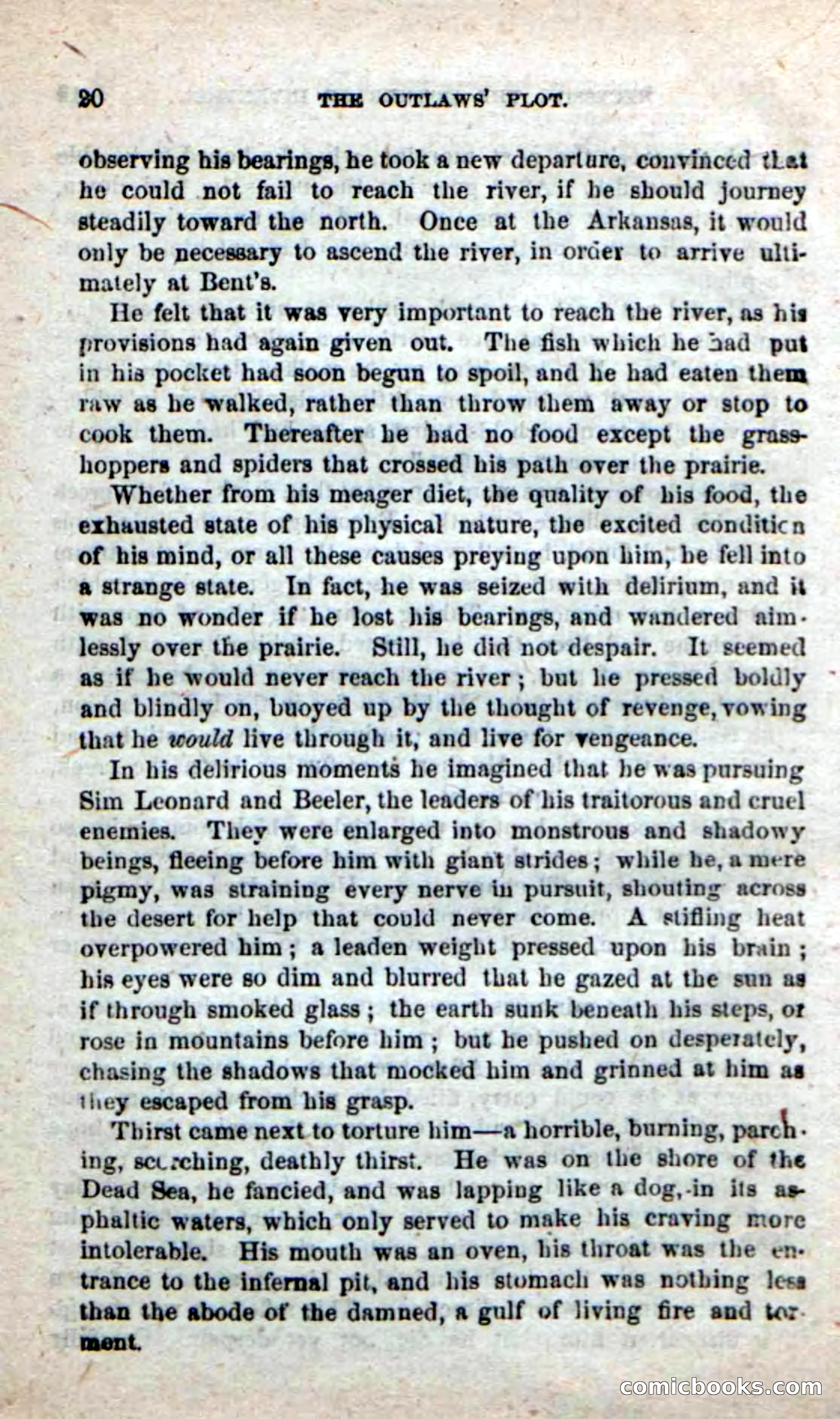 Beadle's New Dime Novels: Alone on the Plains — page 14 of 98
