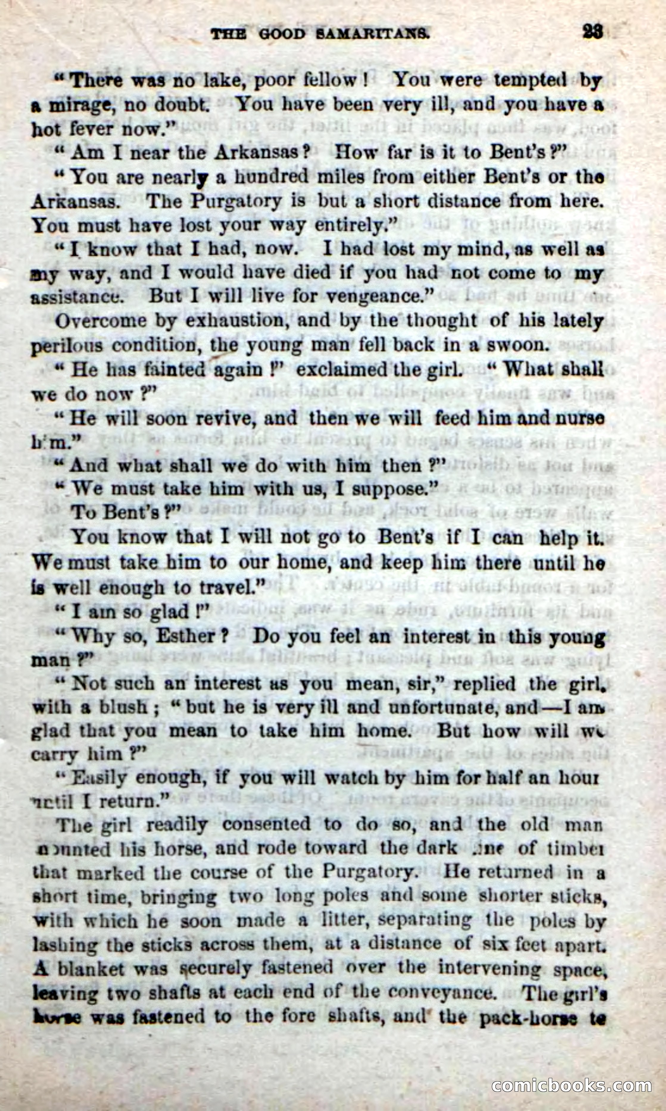 Beadle's New Dime Novels: Alone on the Plains — page 17 of 98