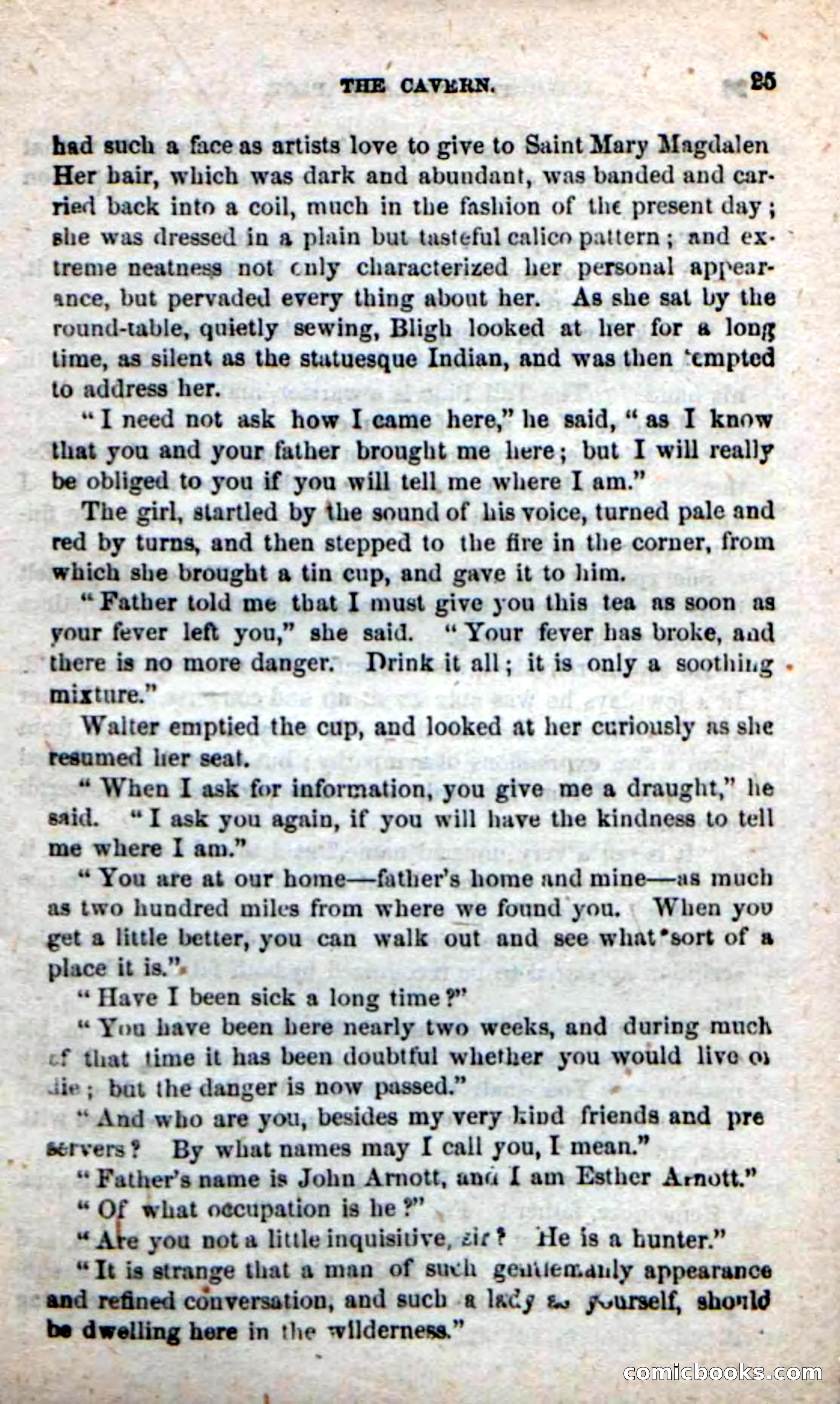 Beadle's New Dime Novels: Alone on the Plains — page 19 of 98