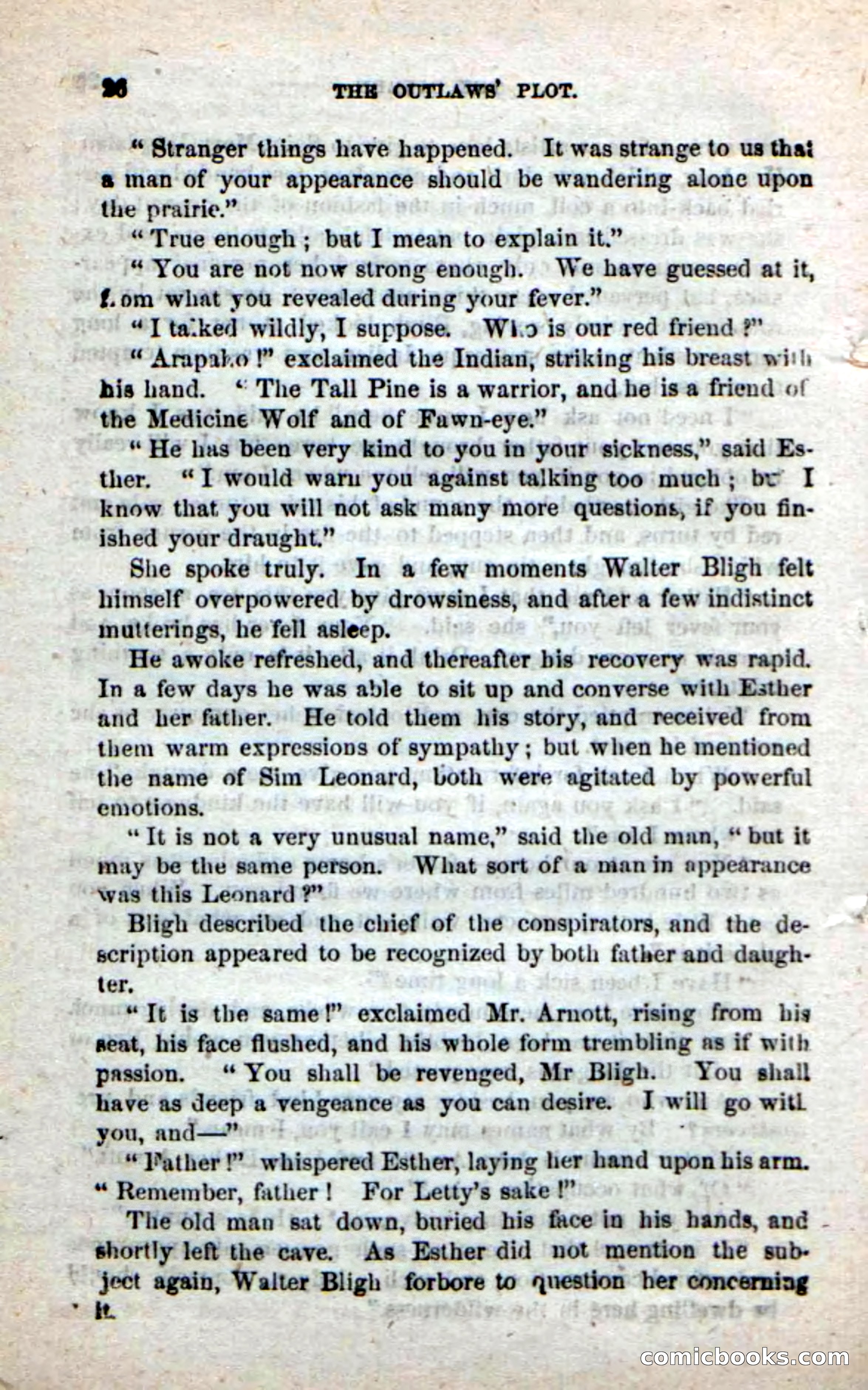 Beadle's New Dime Novels: Alone on the Plains — page 20 of 98